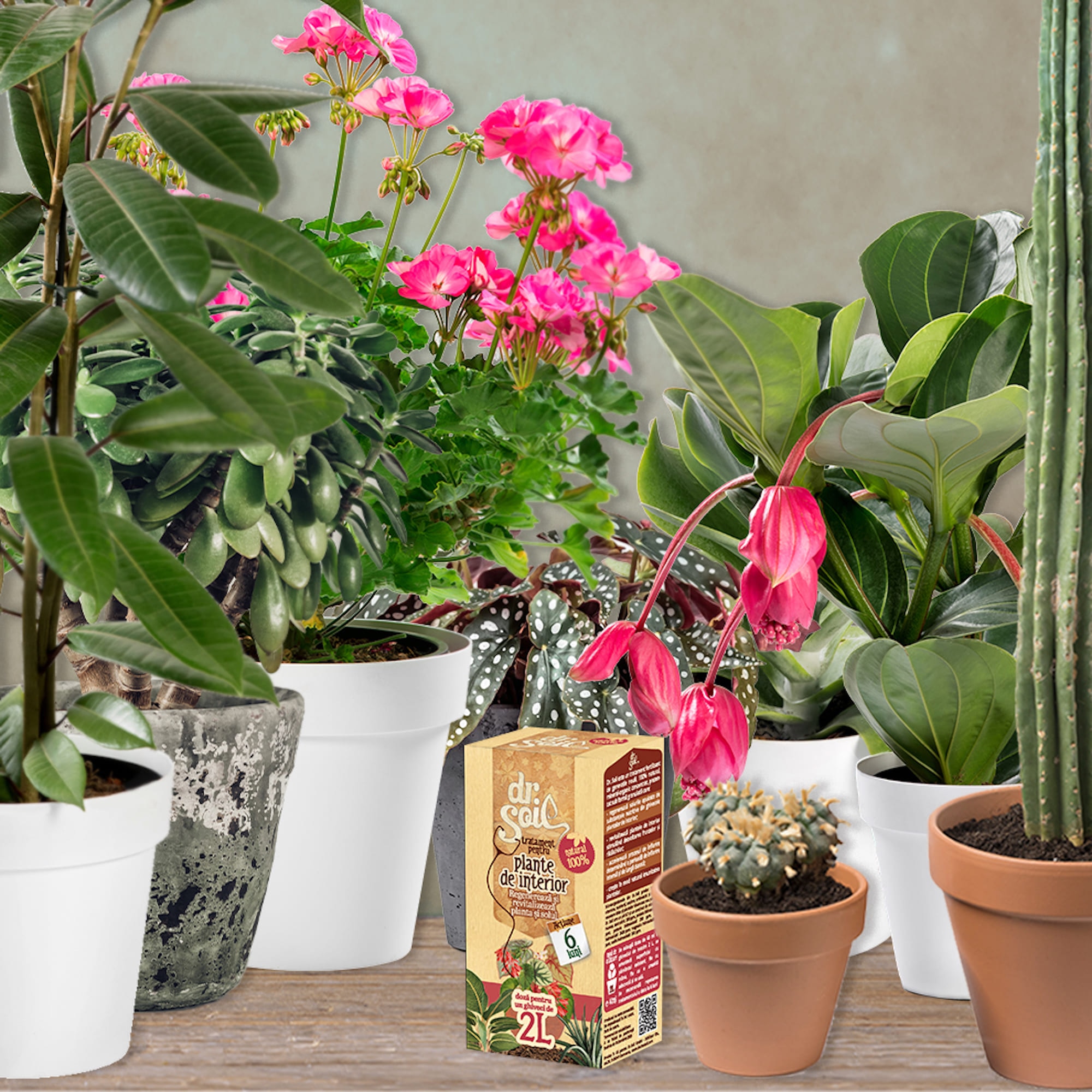 Tratament pentru plante de interior, 0.40 L  Dr. Soil