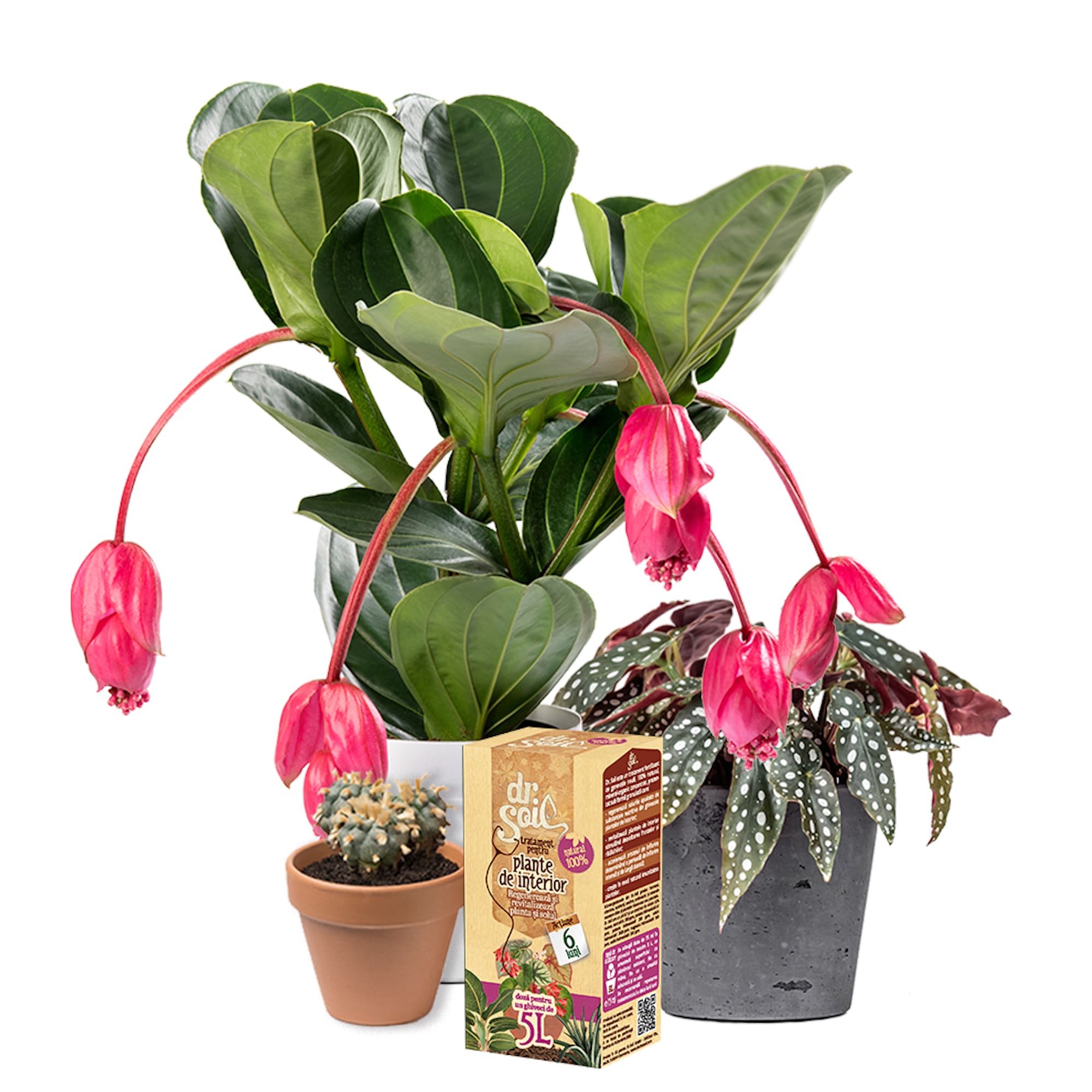 Tratament pentru plante de interior, 0.75 L  Dr. Soil