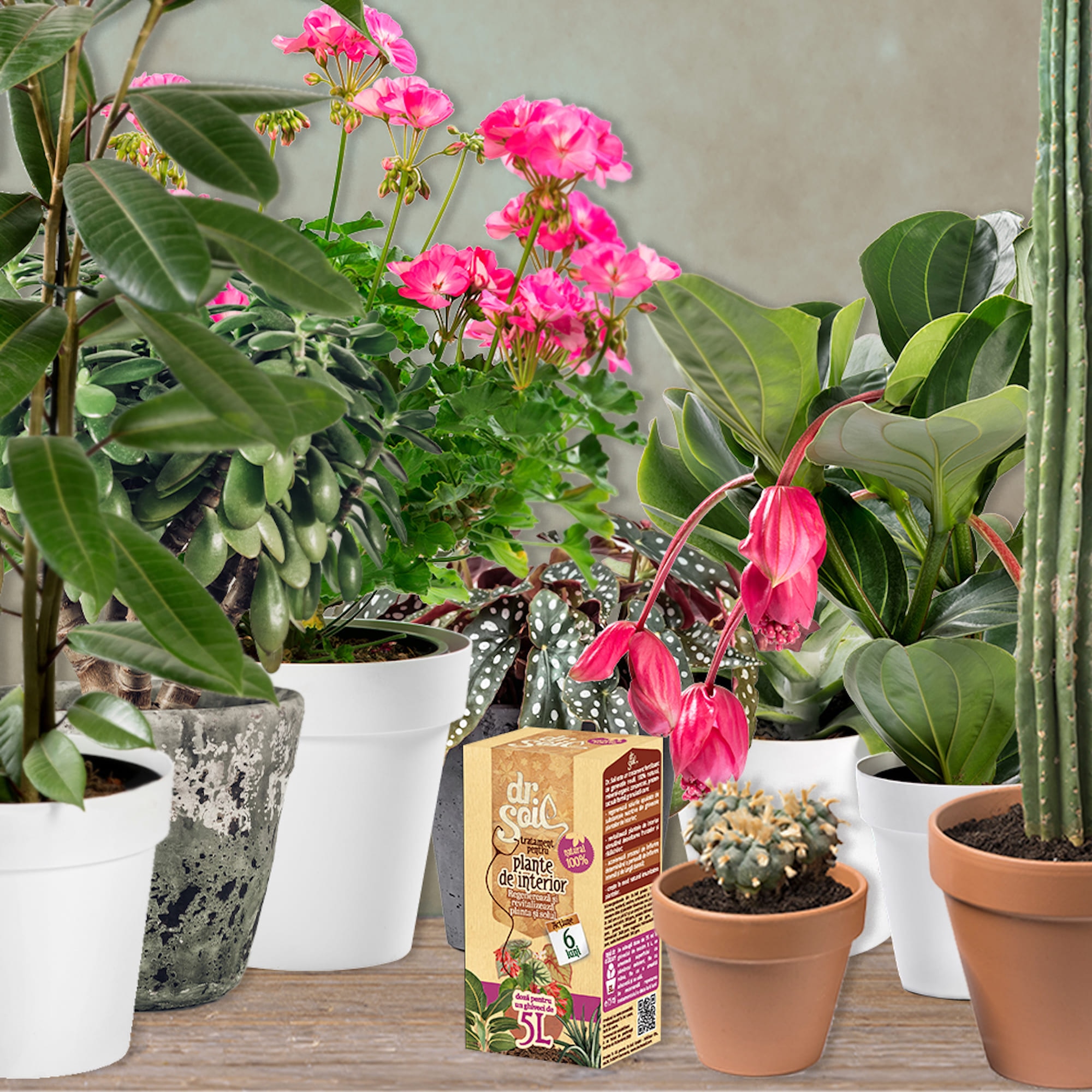 Tratament pentru plante de interior, 0.75 L  Dr. Soil