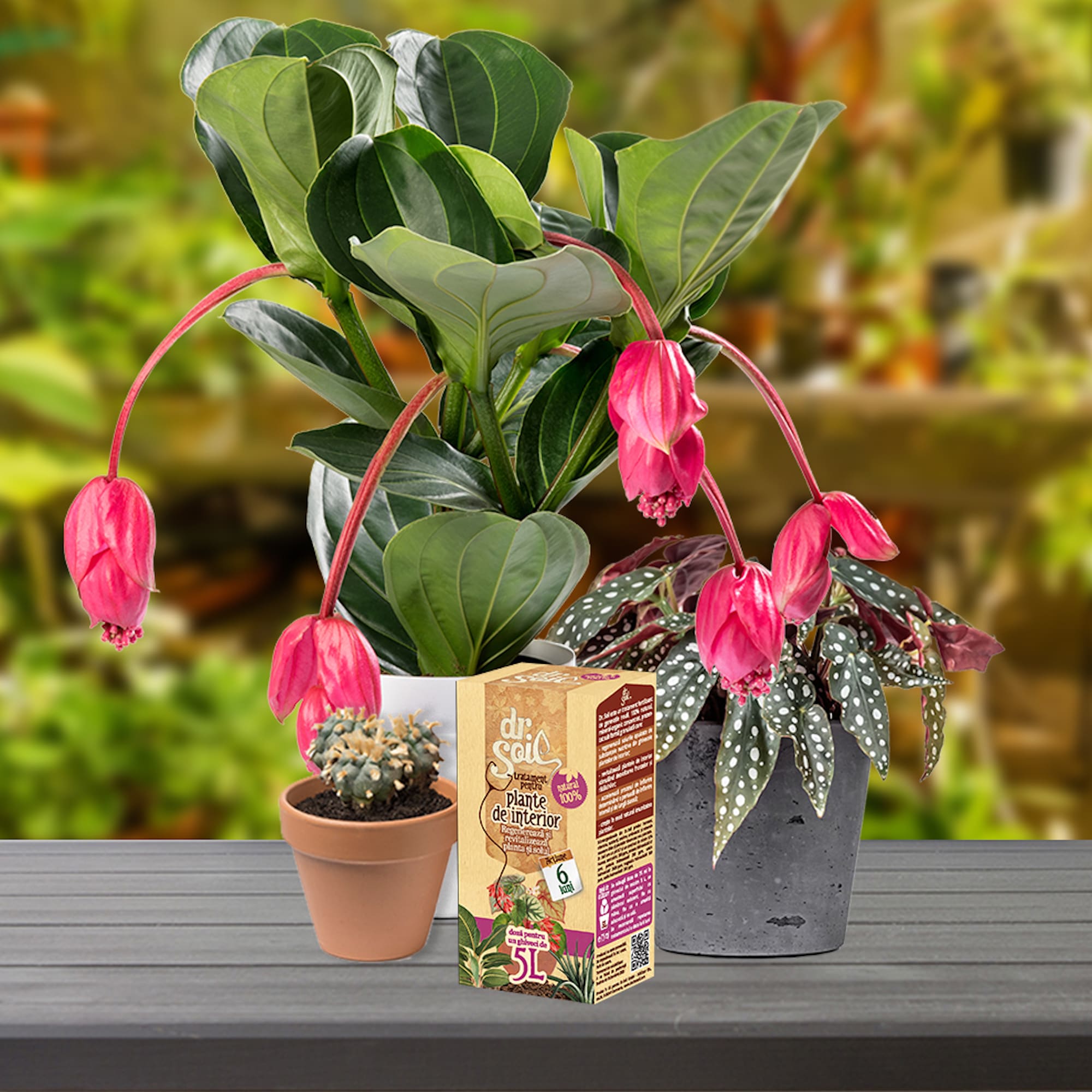 Tratament pentru plante de interior, 0.75 L  Dr. Soil