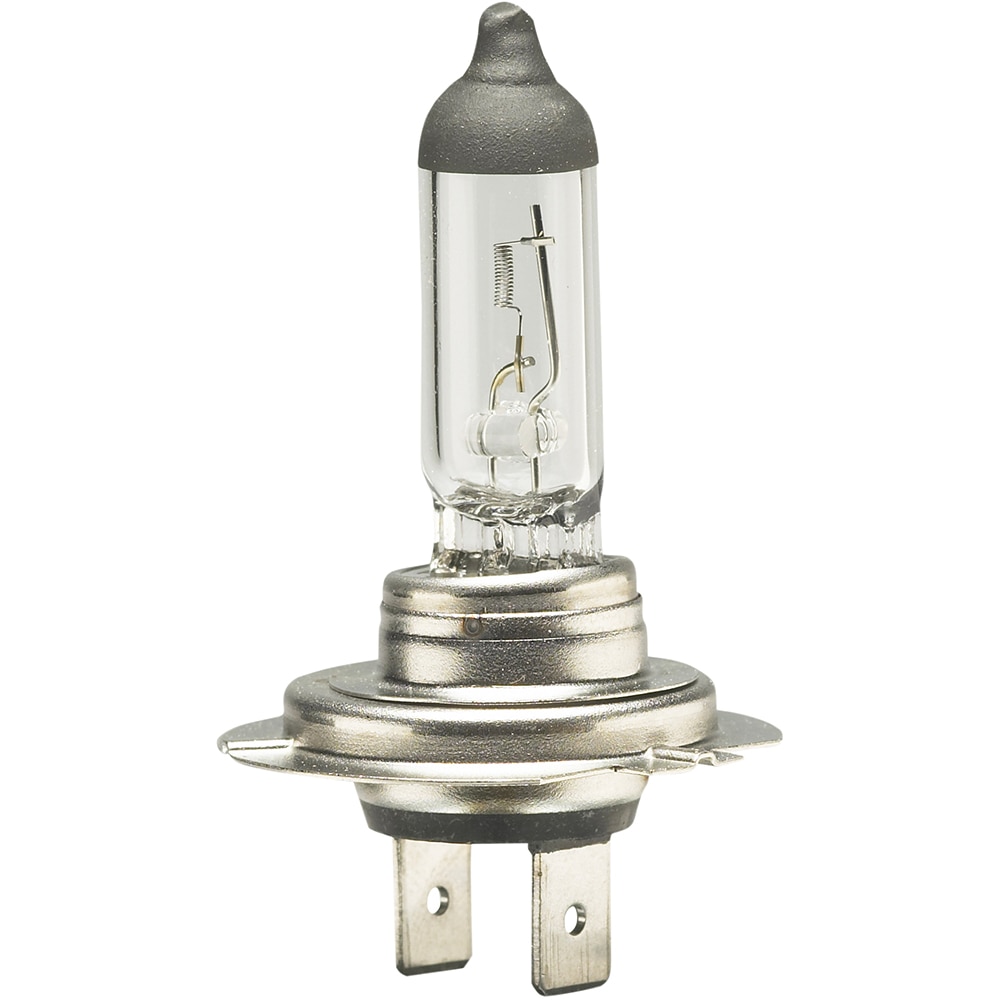 Bec auto BOTTARI, halogen, H7, 55W