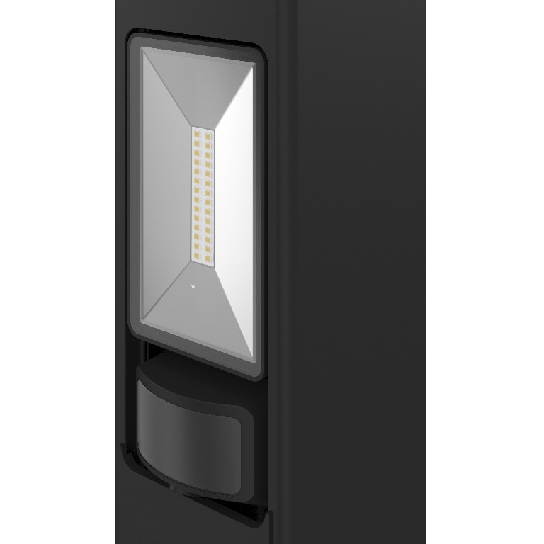 Proiector 10W, negru  Davern