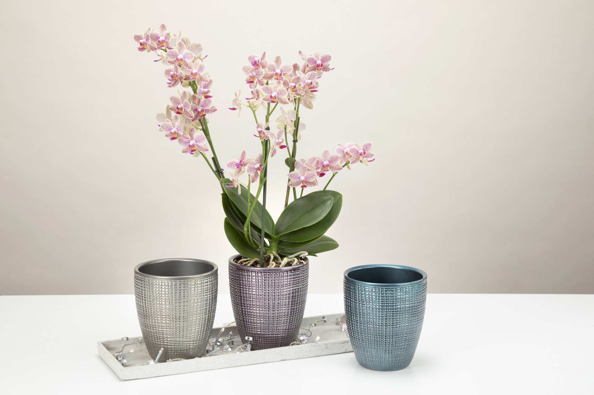 Ghiveci, rotund negru Petrol, 15 cm  Scheurich