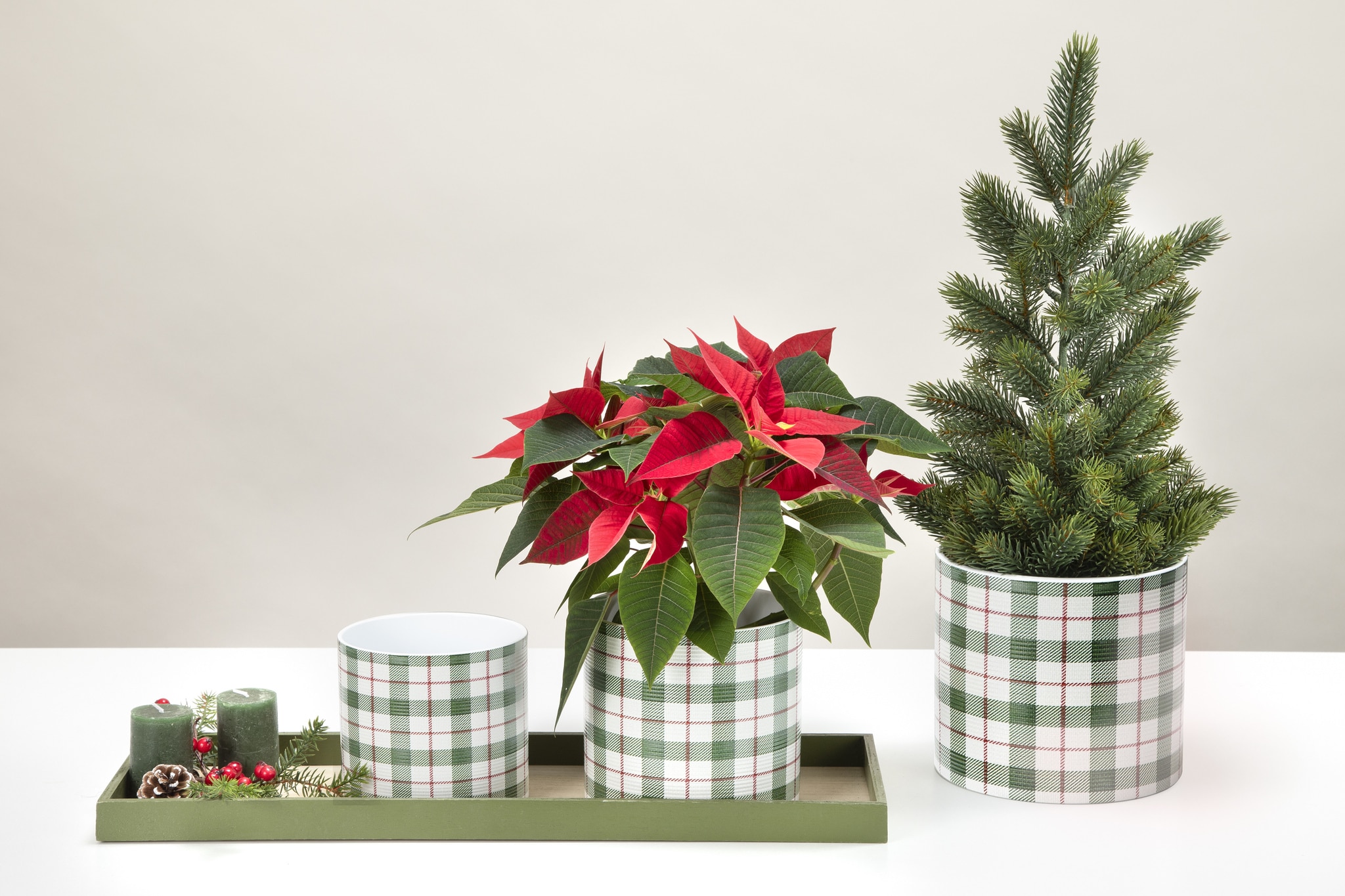 Ghiveci, rotund verde Highland, 14 cm • Scheurich