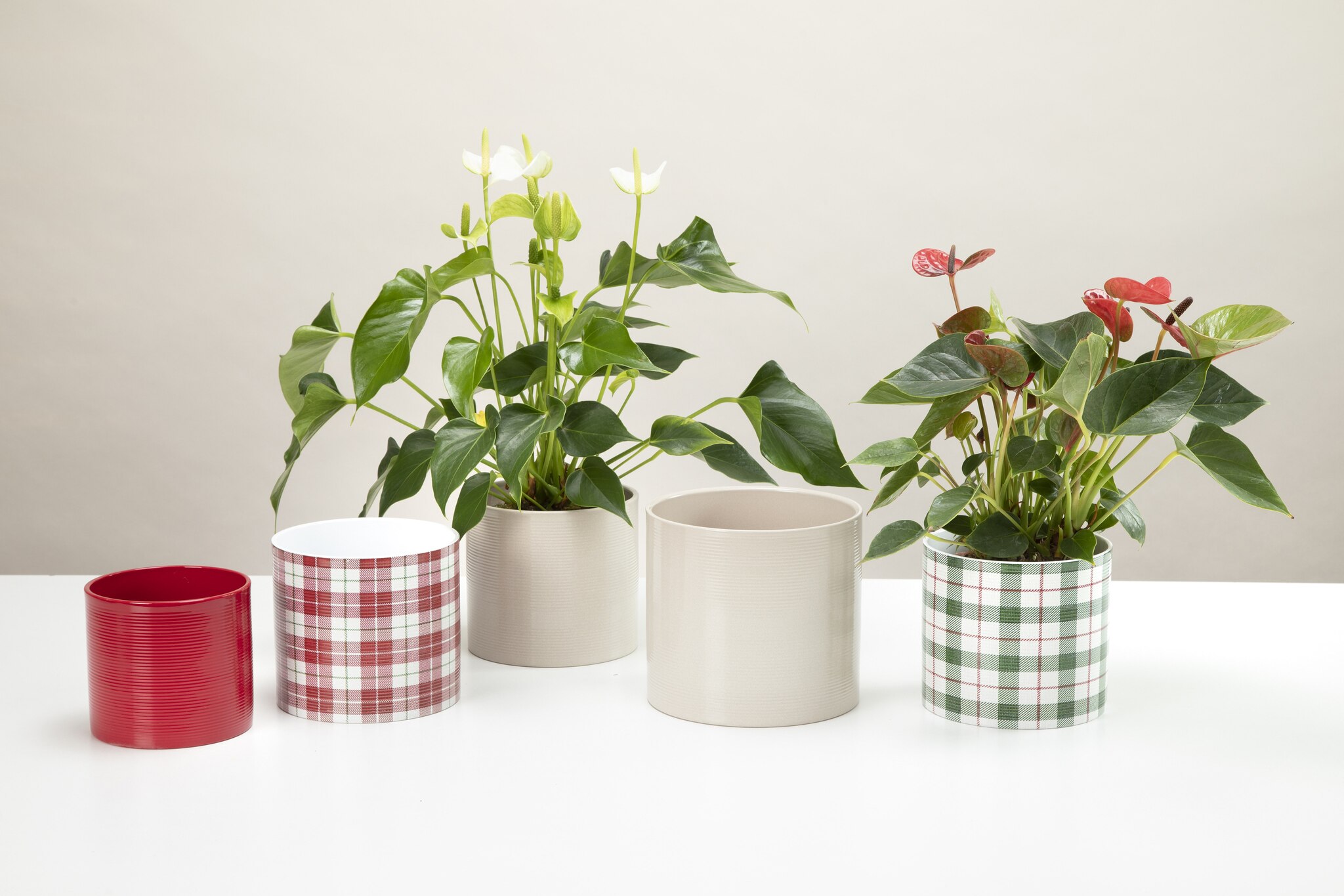 Ghiveci, rotund verde Highland, 16 cm • Scheurich