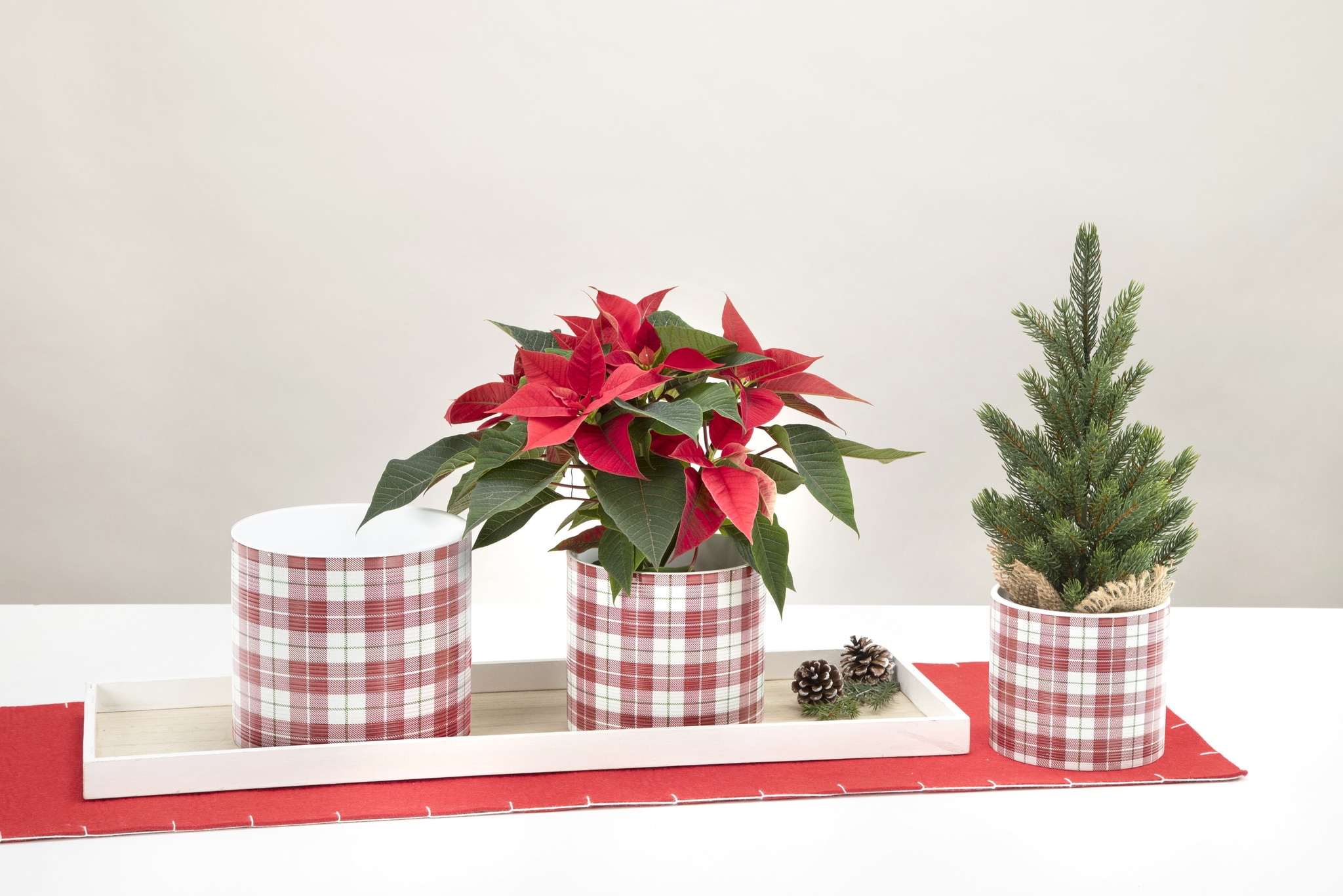 Ghiveci, rotund rosu Highland, 14 cm • Scheurich