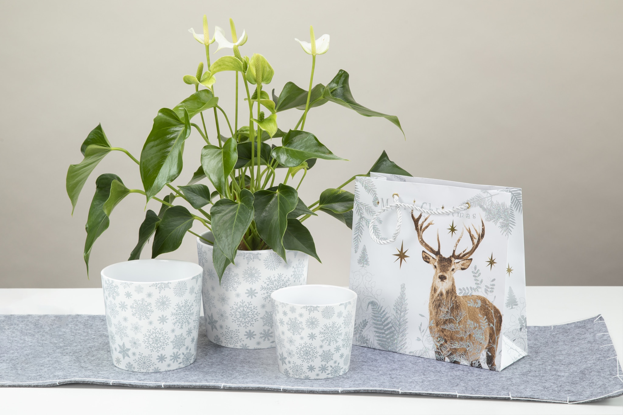 Ghiveci, rotund alb cu fulgi zapada argintii, 11 cm  Scheurich