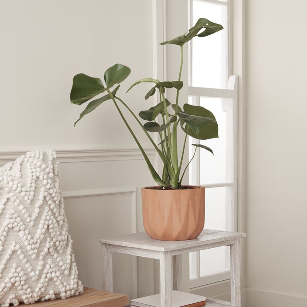 Ghiveci rotund GOODHOME, teracota, 20.5 cm, maro