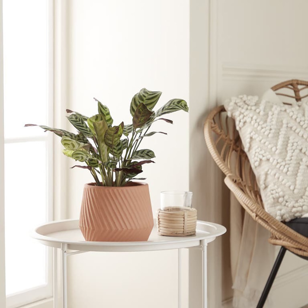 Ghiveci rotund GOODHOME, teracota, 17 cm, maro