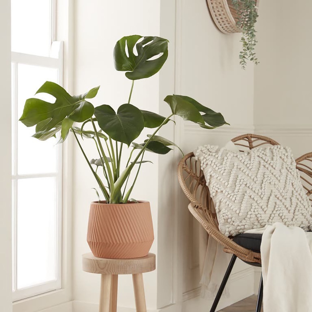 Ghiveci rotund GOODHOME, teracota, 23.5 cm, maro