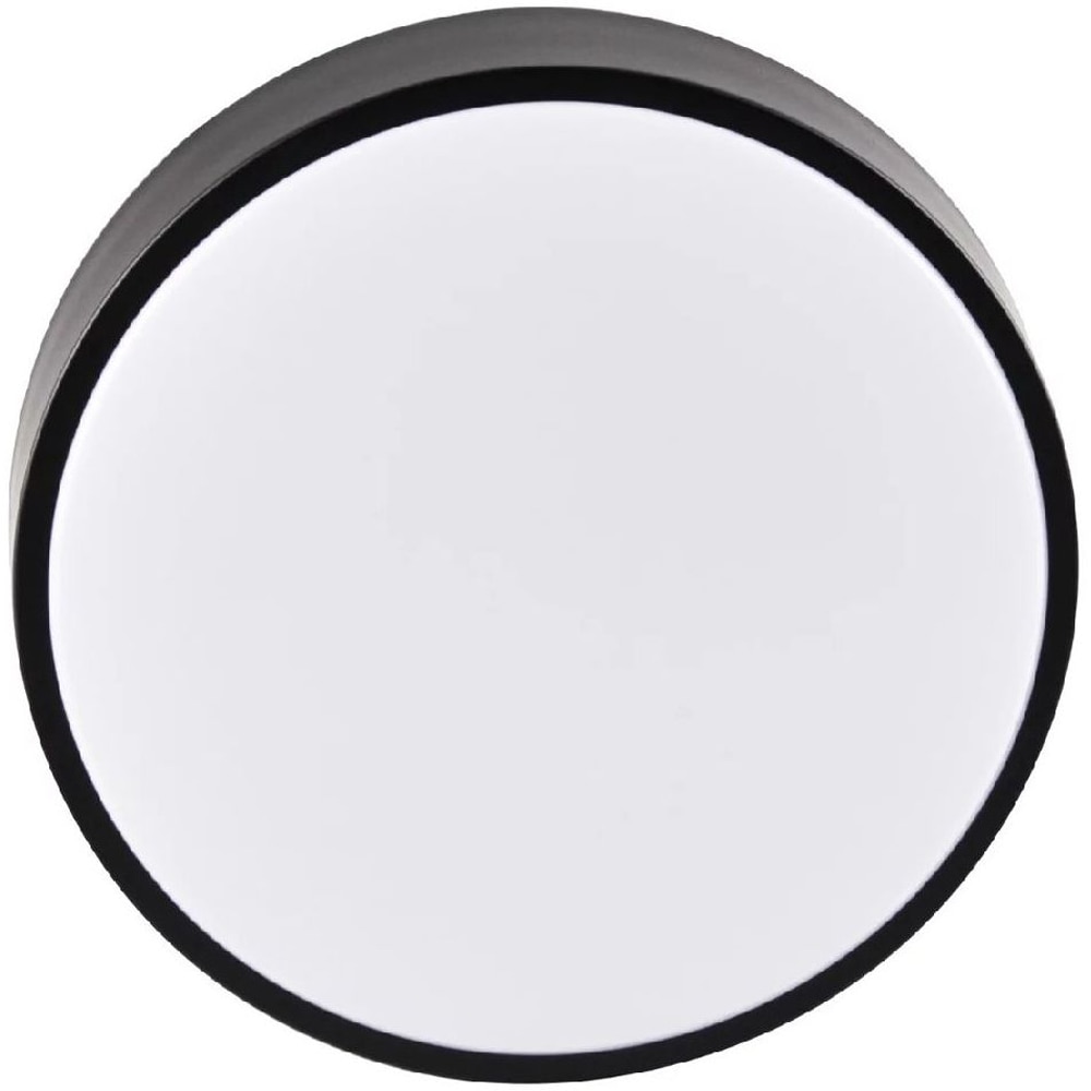 Plafoniera LED Rene 317445, 15W, 1600lm, negru