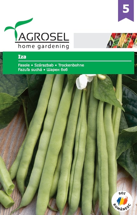 Fasole Iza  Agrosel