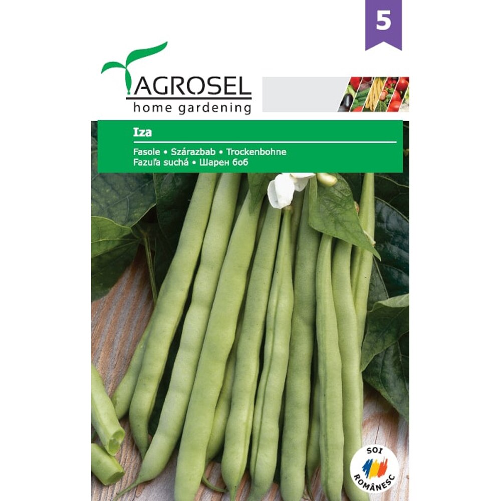 Seminte de legume Fasole Iza AGROSEL, 1 plic