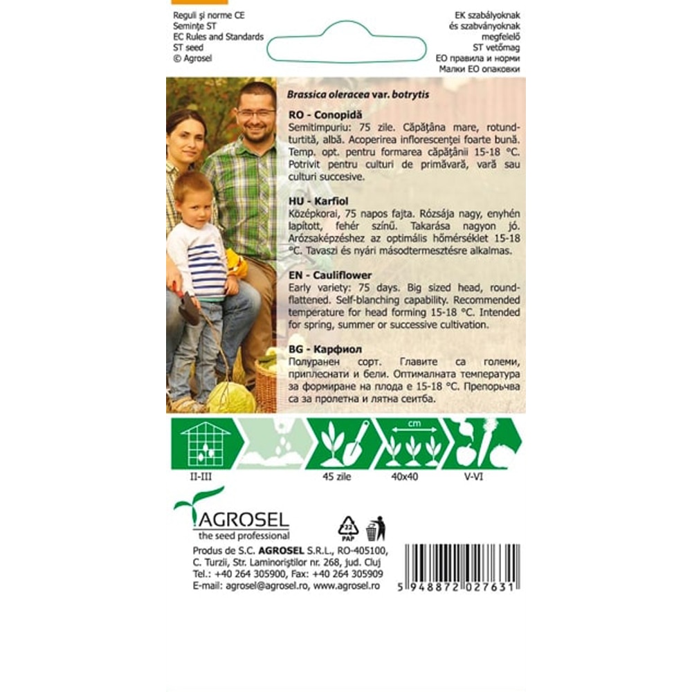 Seminte legume Conopida Snowball AGROSEL