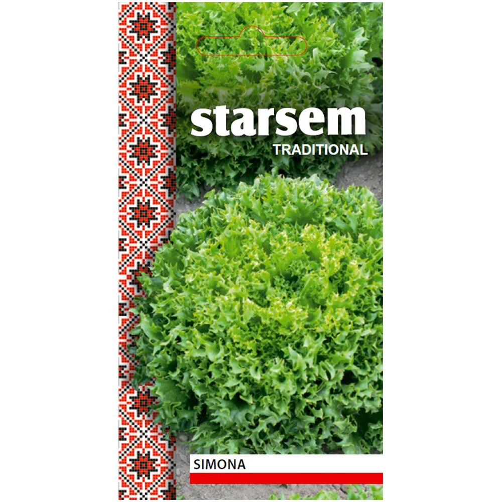 Seminte de legume Salata creata Simona, 1 plic