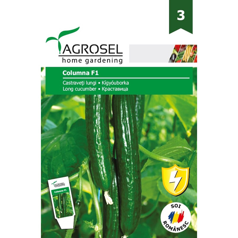Seminte de legume Castraveti lungi Columna F1, 1 plic