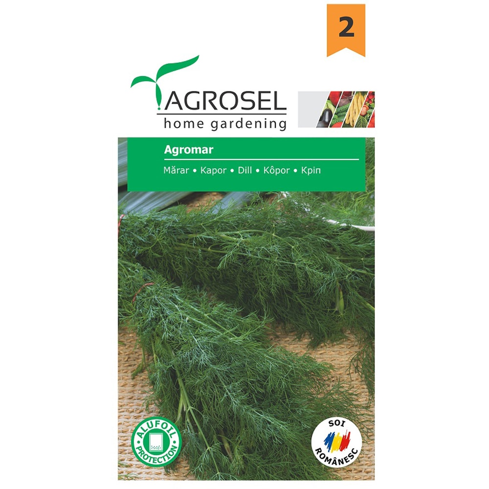 Seminte de legume Marar Agromar, 1 plic