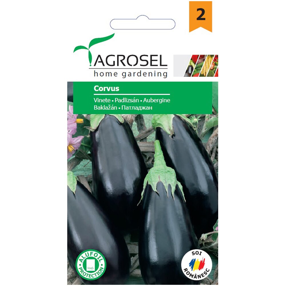 Seminte de legume Vinete Corvus, 1 plic