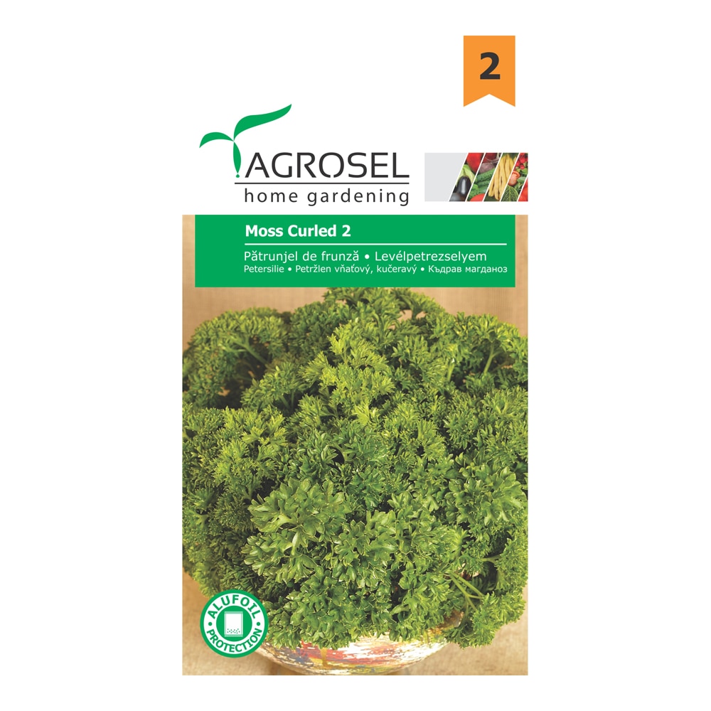 Patrunjel de frunza Moss Curled 2   Agrosel