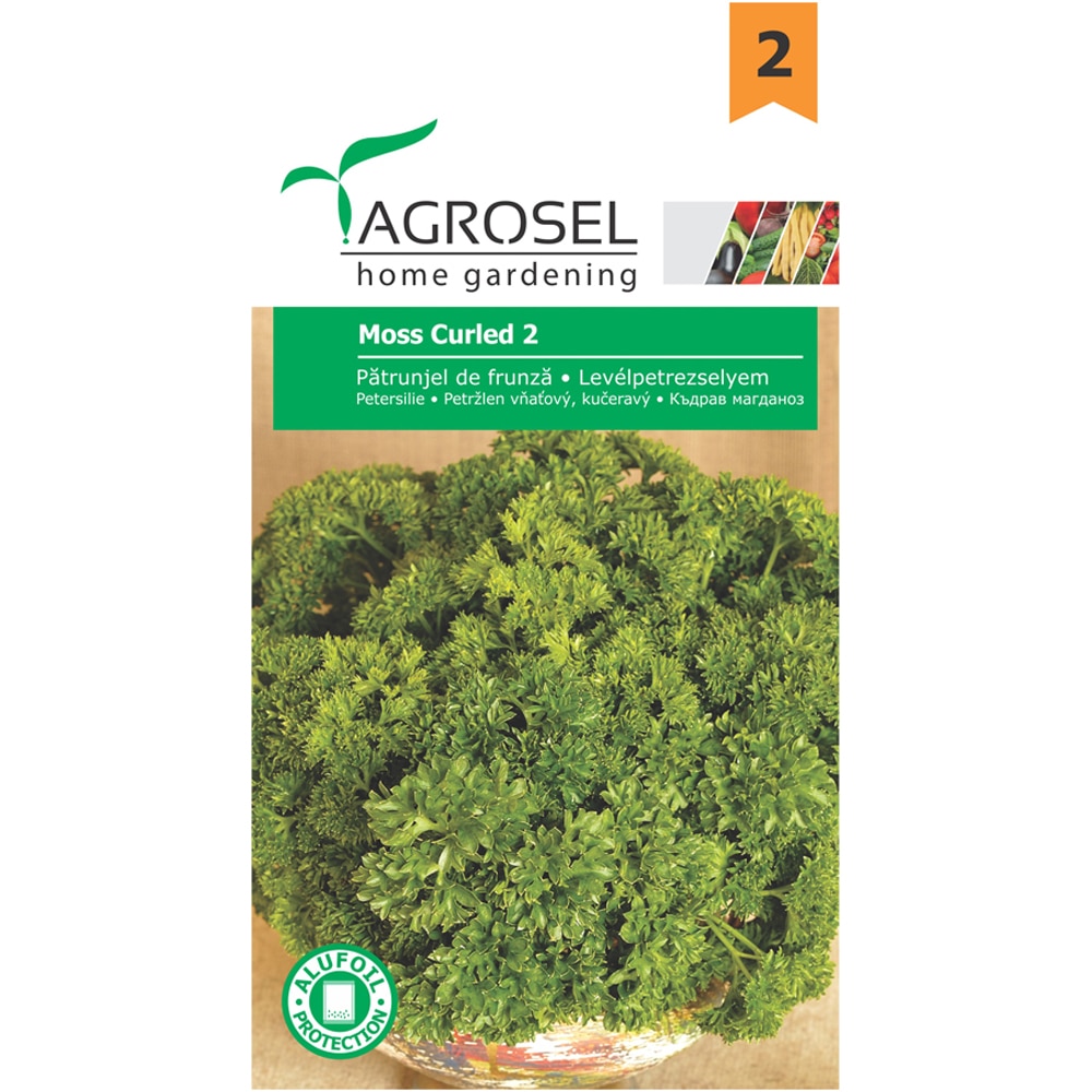 Seminte de legume Patrunjel de frunze Moss Curled 2 AGROSEL, 1 plic