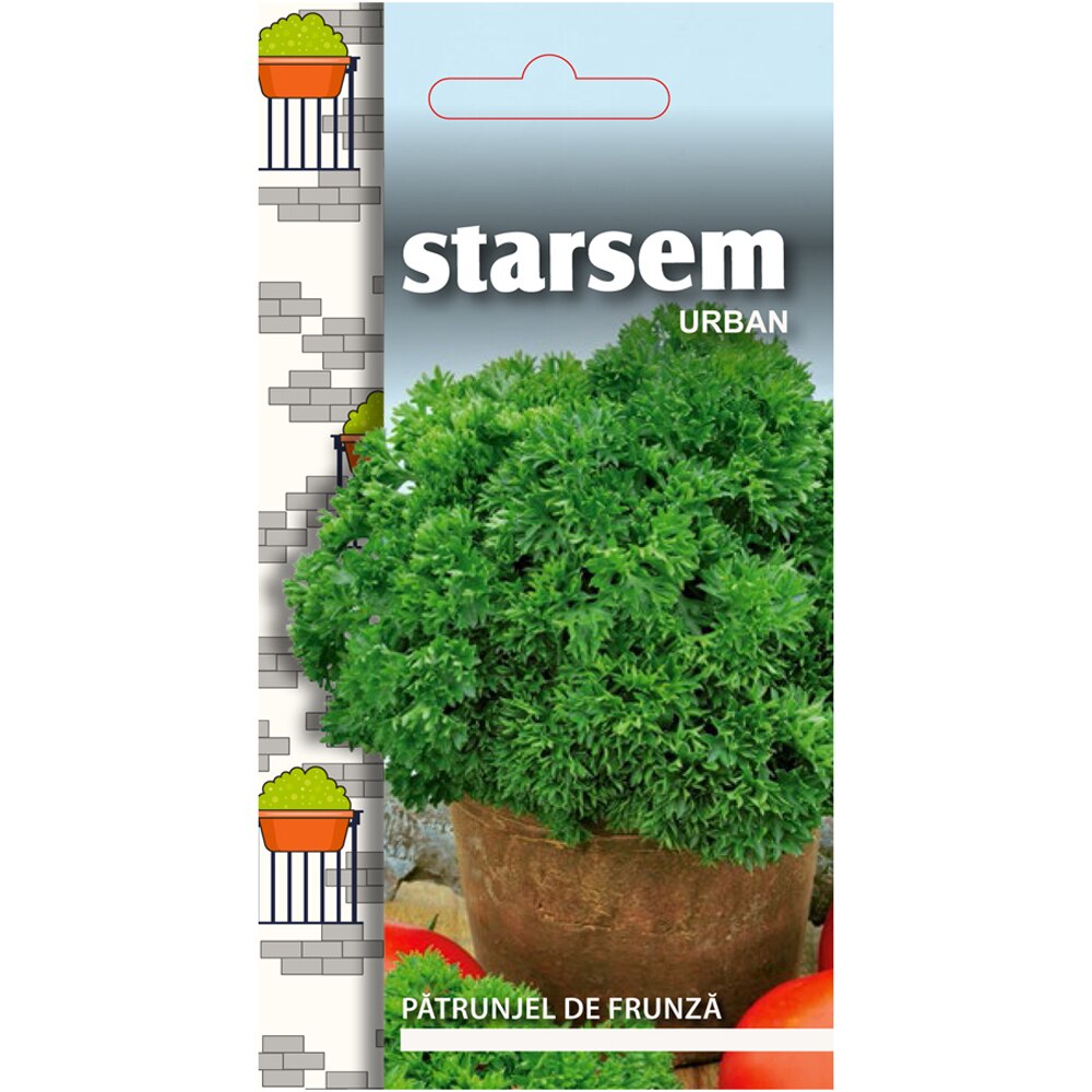 Seminte de legume Patrunjel de frunze Moss Curled 2 STARSEM, 1 plic