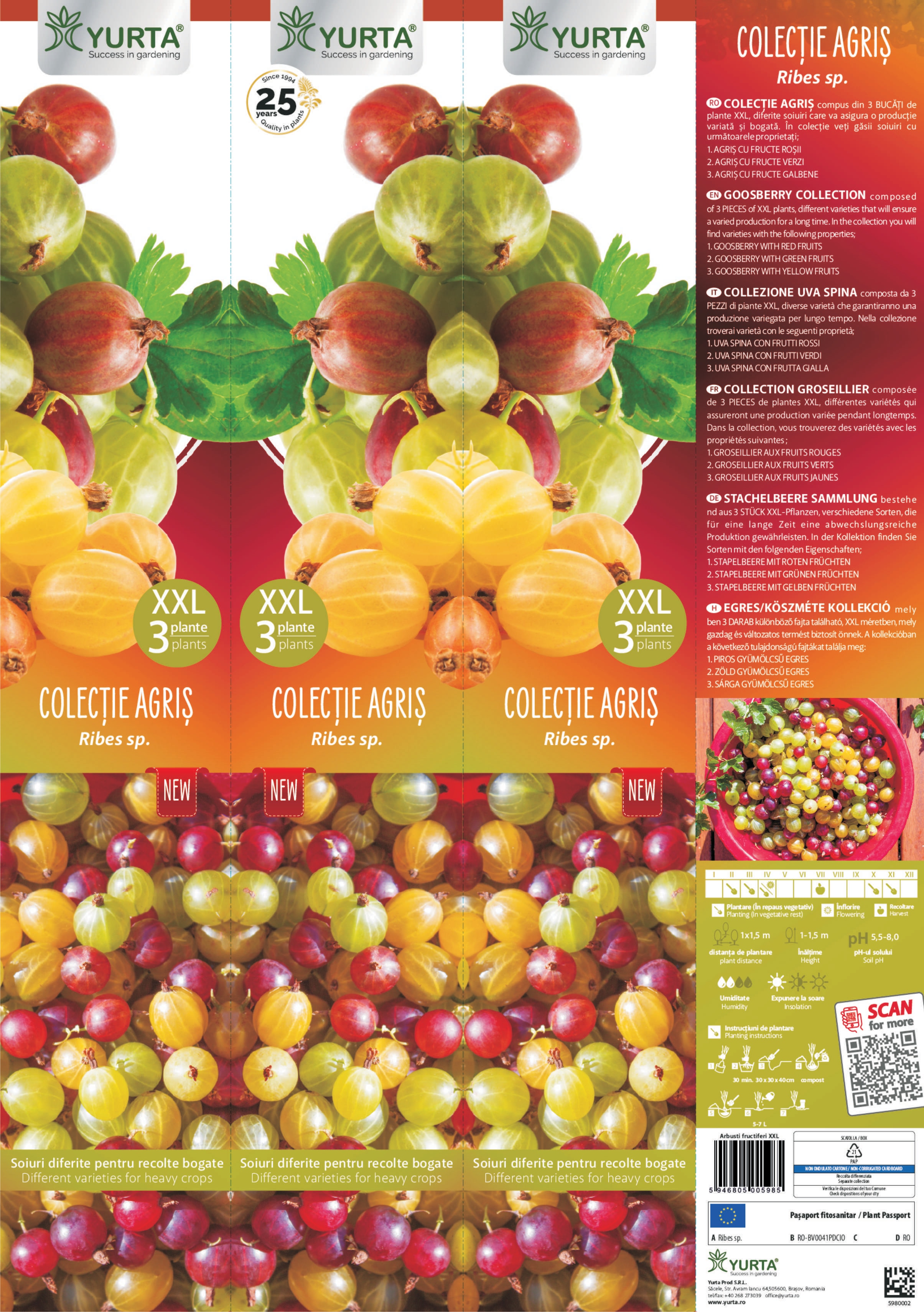 Arbusti Fructiferi Agris Xxl 3 Buc