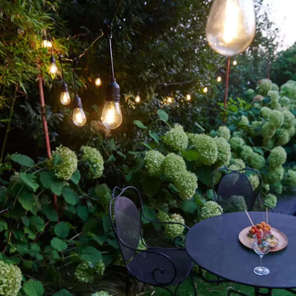  Ghirlanda decorativa Pandoro 101326263, 10m, 15 becuri, negru