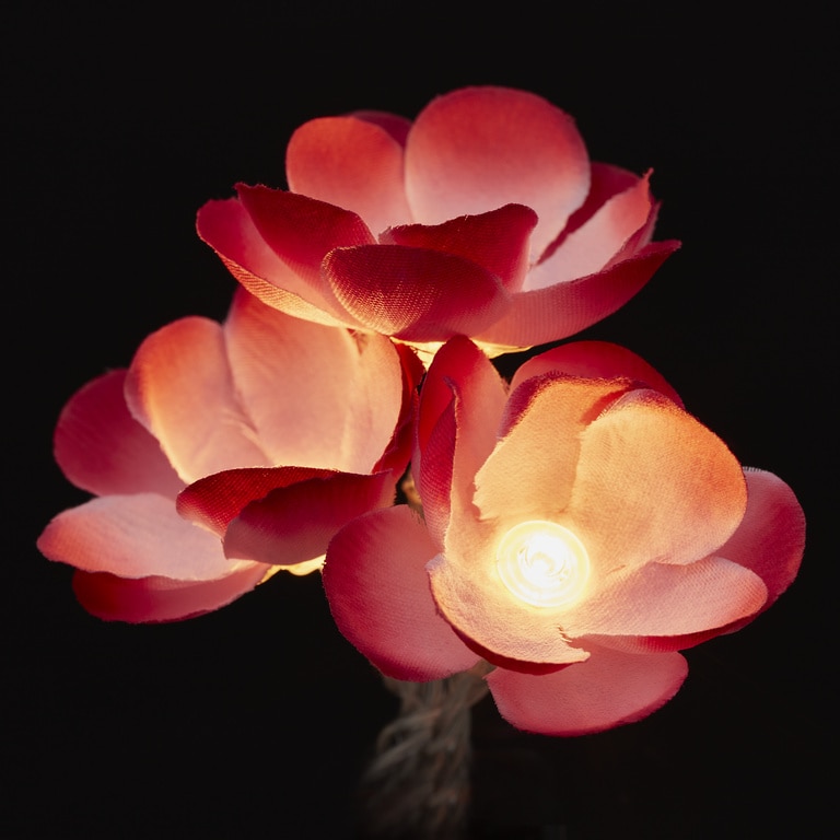 Ghirlanda luminoasa trandafiri, 10 LED, iluminare alb cald