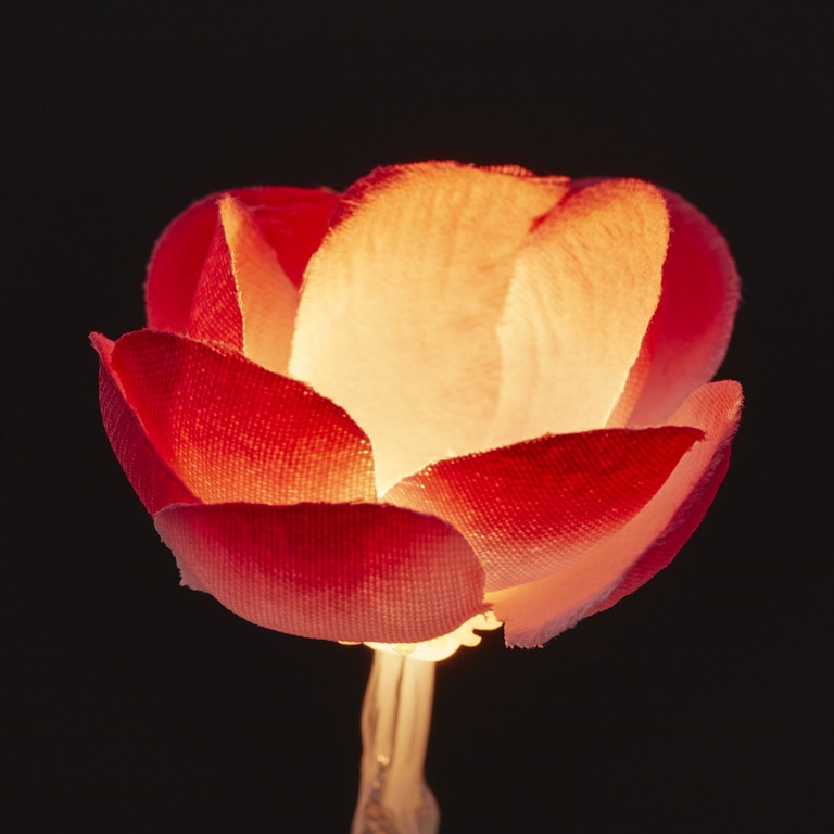 Ghirlanda luminoasa trandafiri, 10 LED, iluminare alb cald