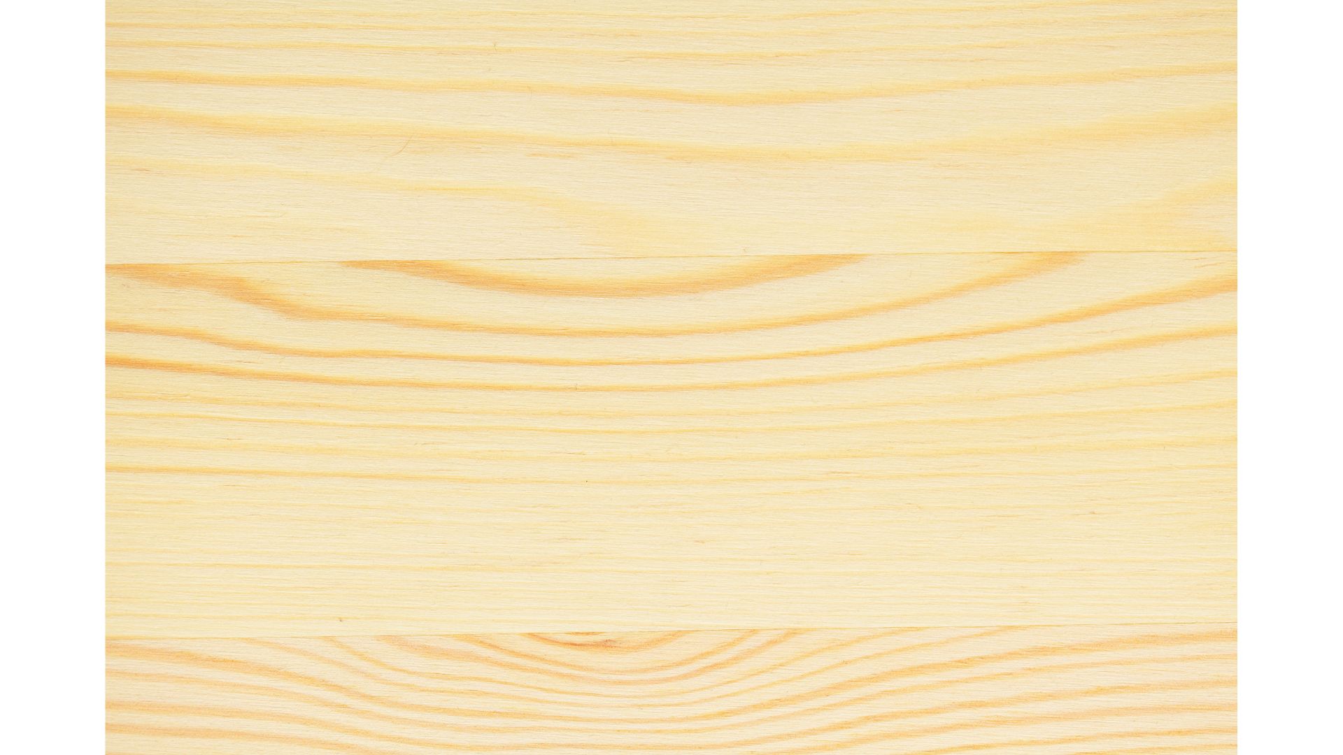 Polita rasinoasa, 250 x 25 x 2.8 cm