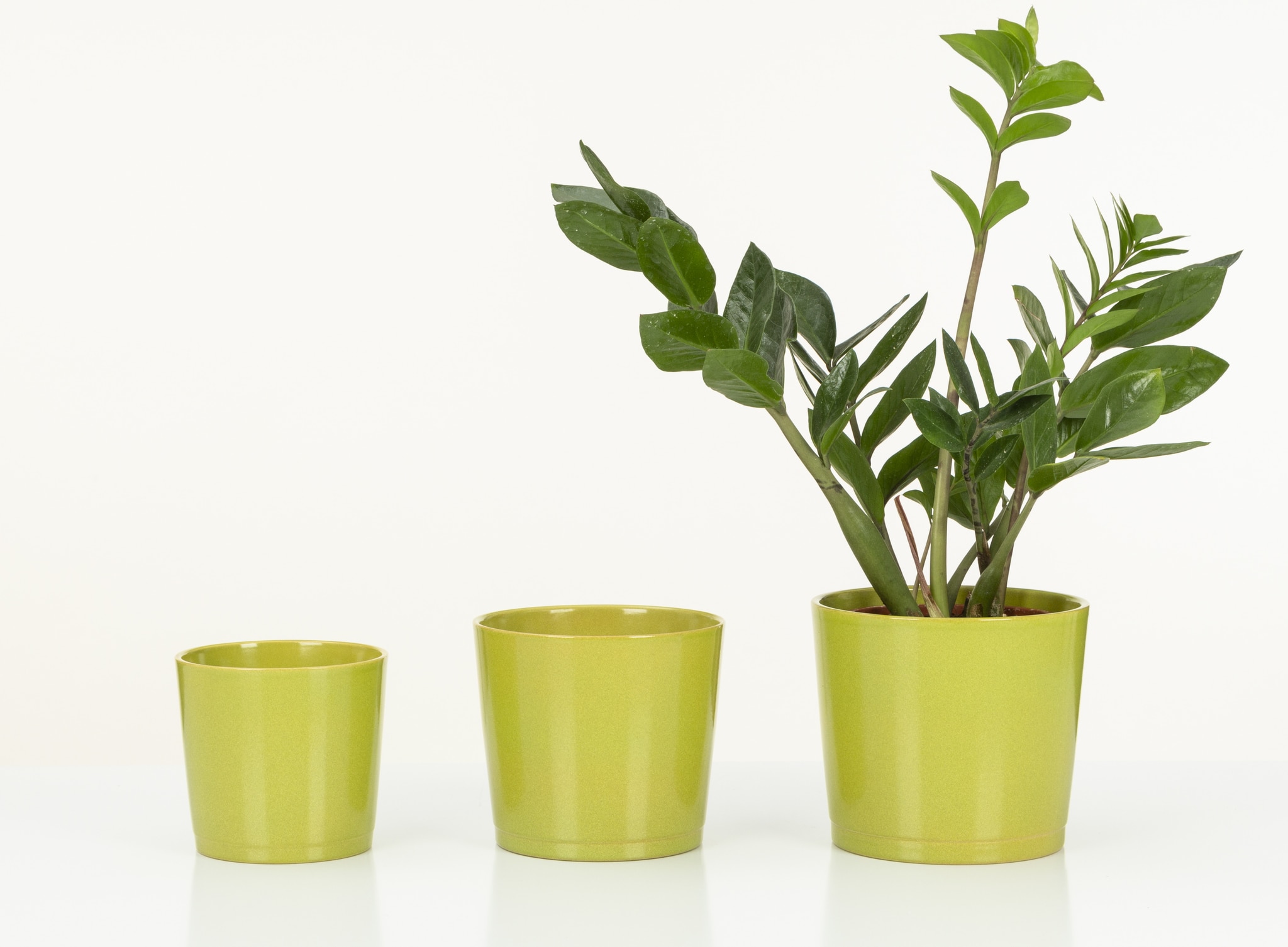 Ghiveci ceramic, rotund, 15 cm  Avocado