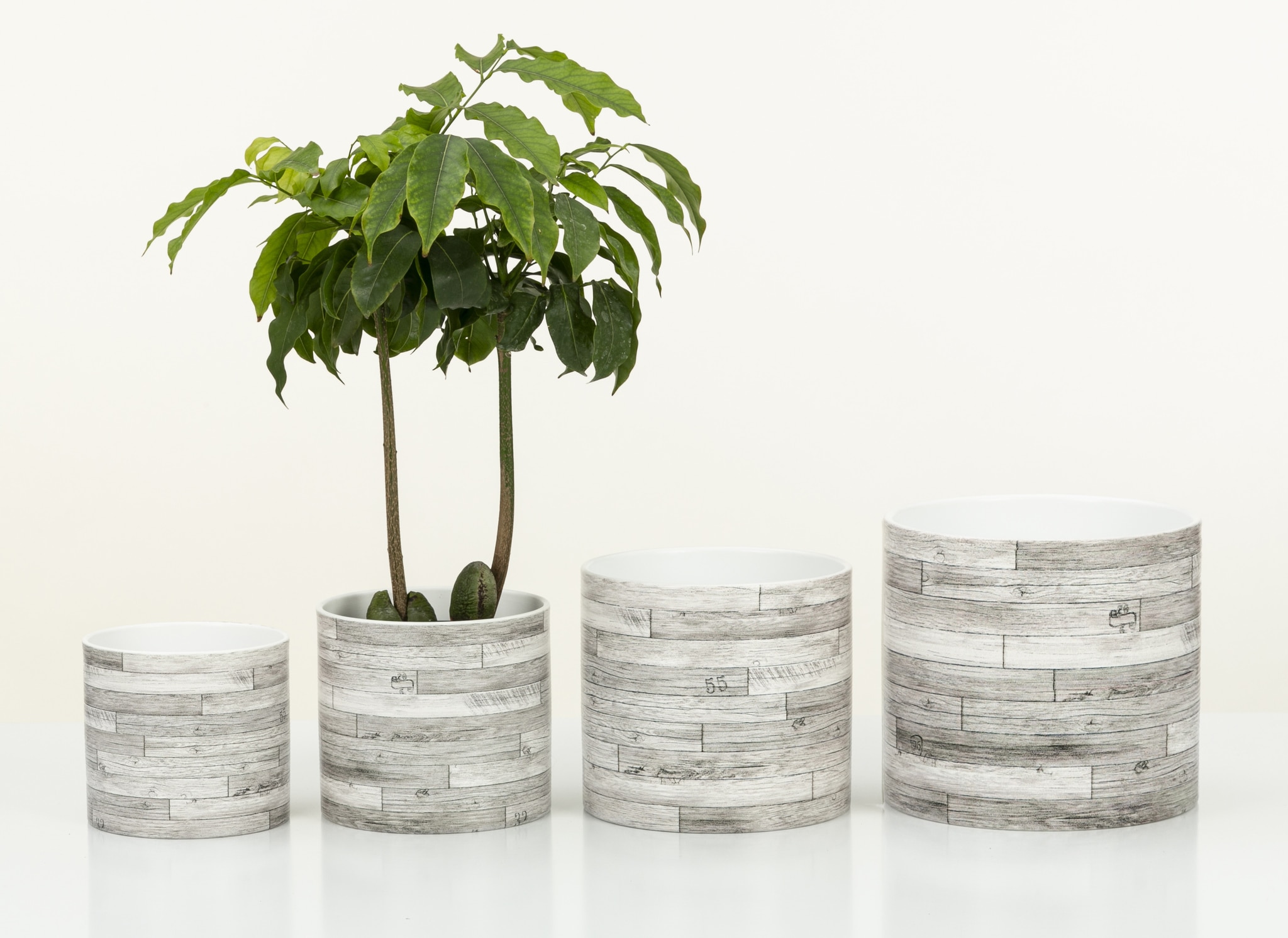 Ghiveci rotund, 16 cm • Legno