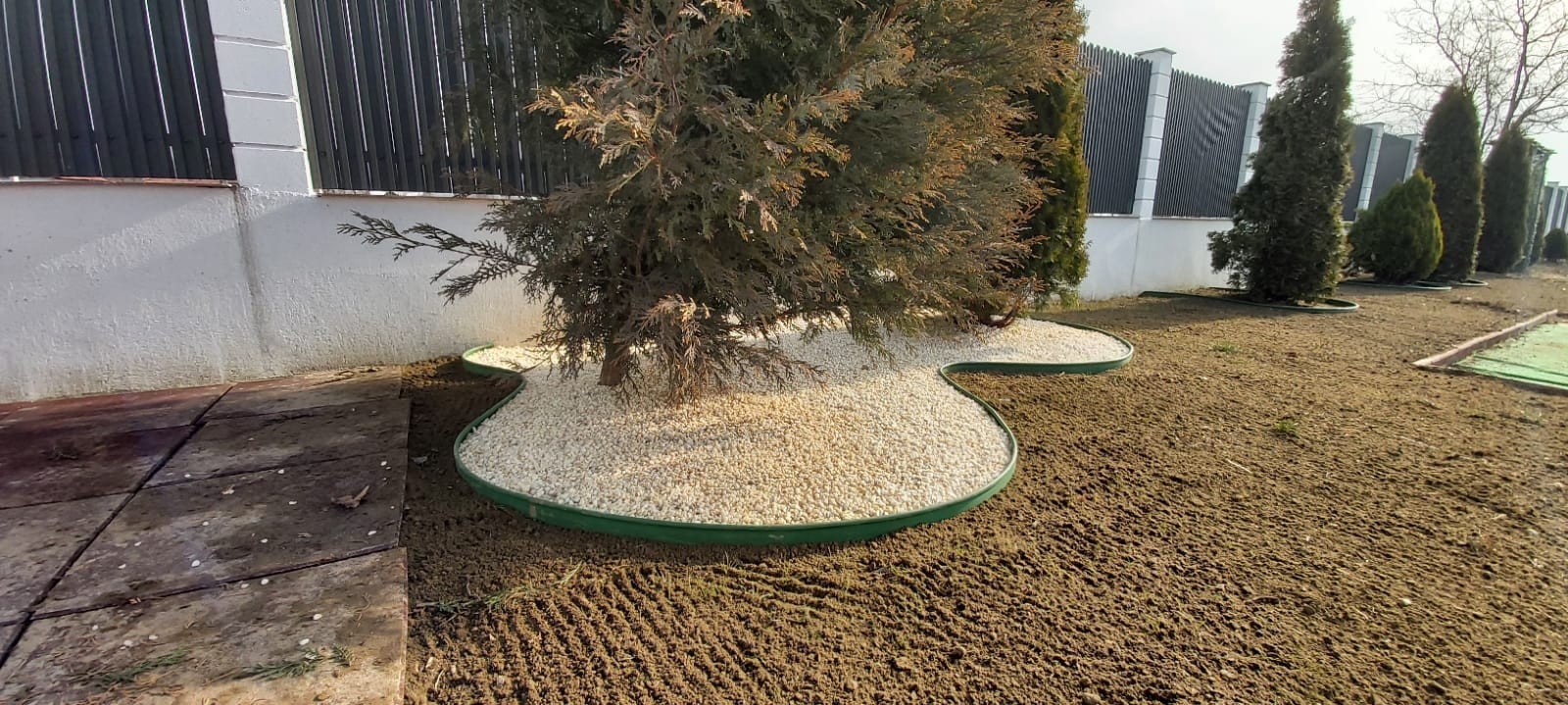 Separator Gazon Pp Maro H10 Cmx6M