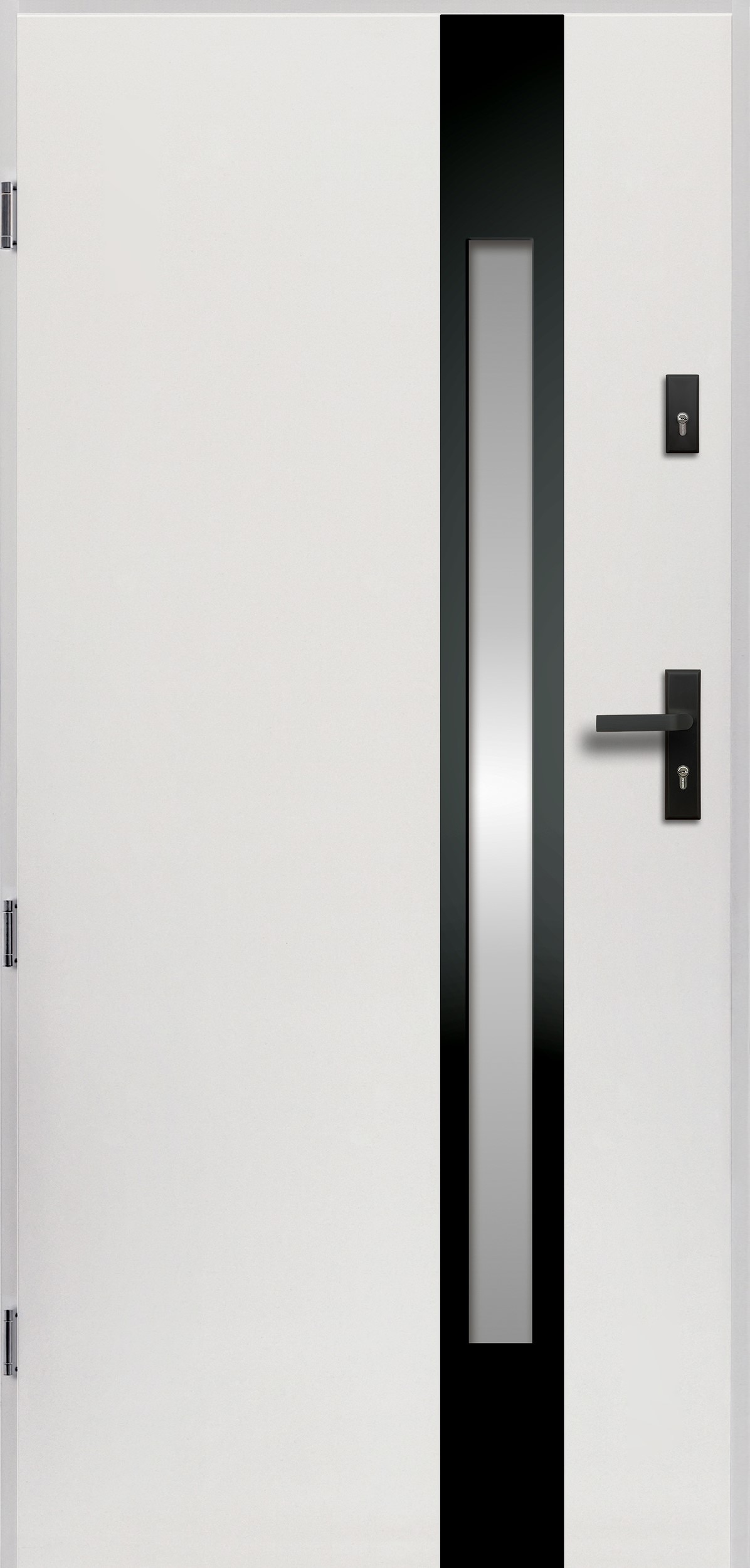 Usa de exterior, 207 cm, dreapta, alb/negru   Temida