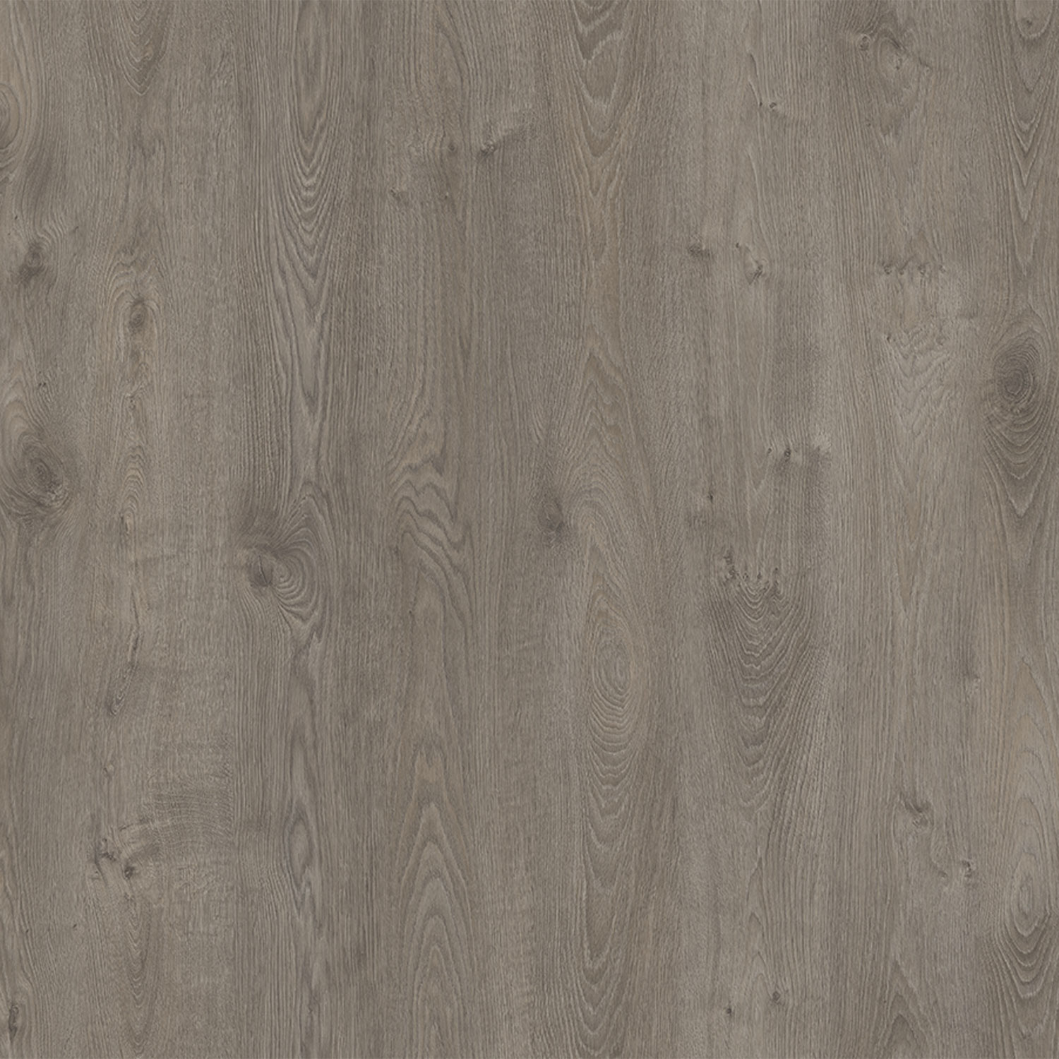 Parchet laminat 12 mm, gri, acoperire per cutie 1.355 mp, AC5, HDF • AGT