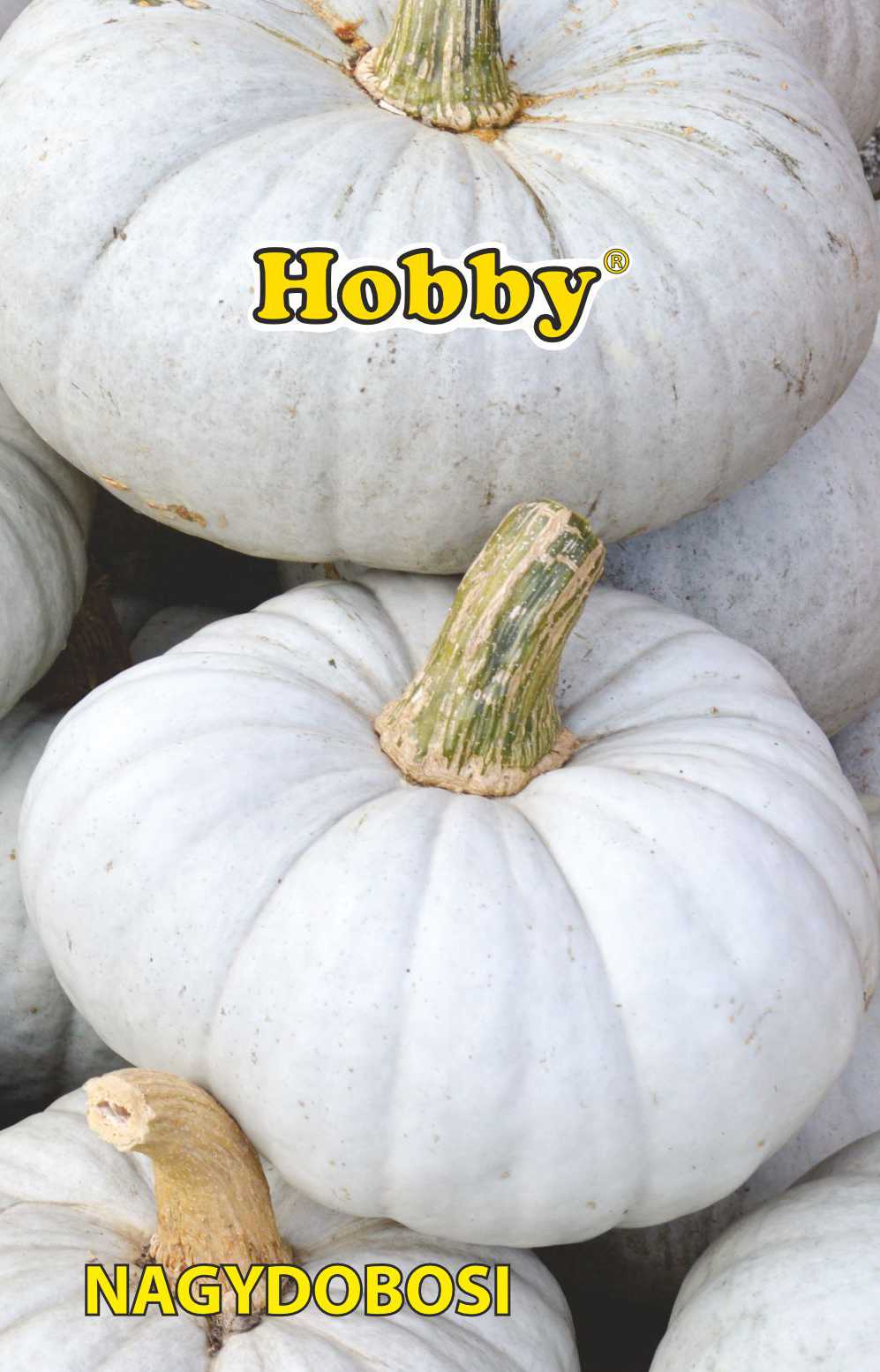 Dovleac de copt Nagydobosi