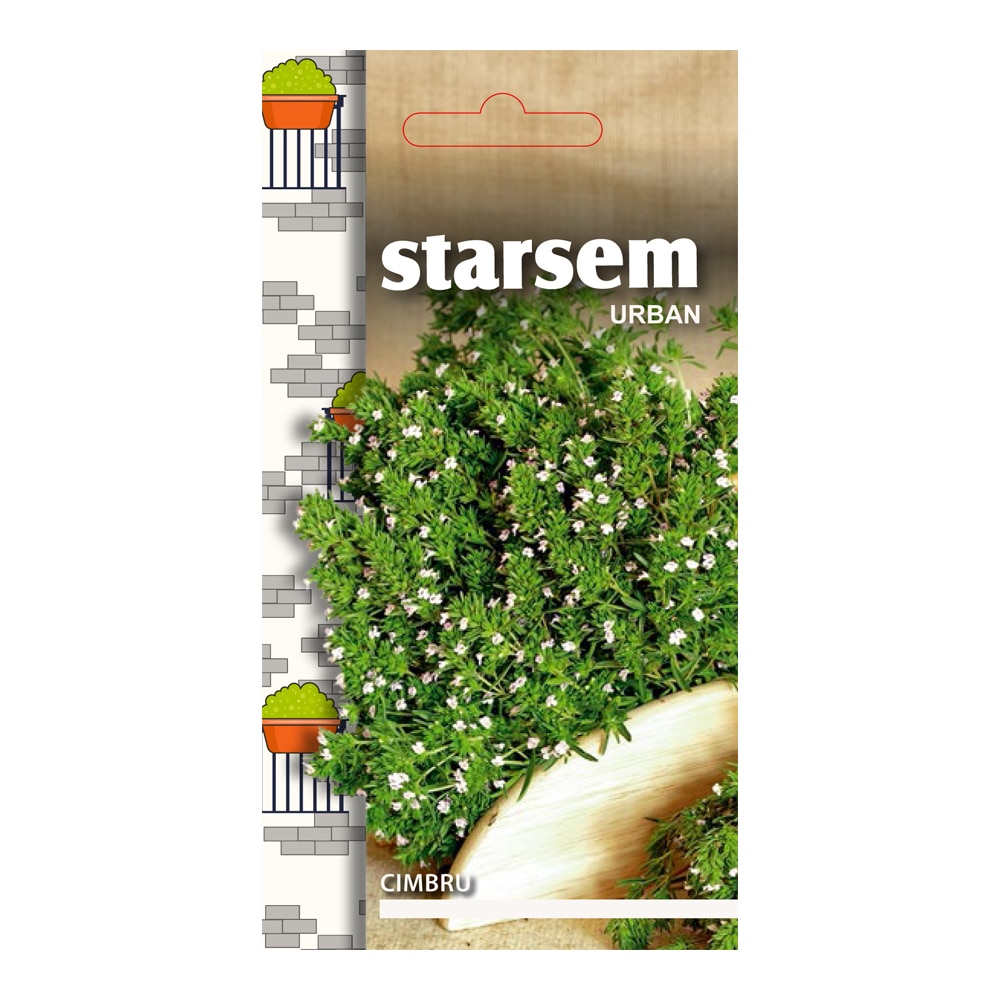 Cimbru • Starsem