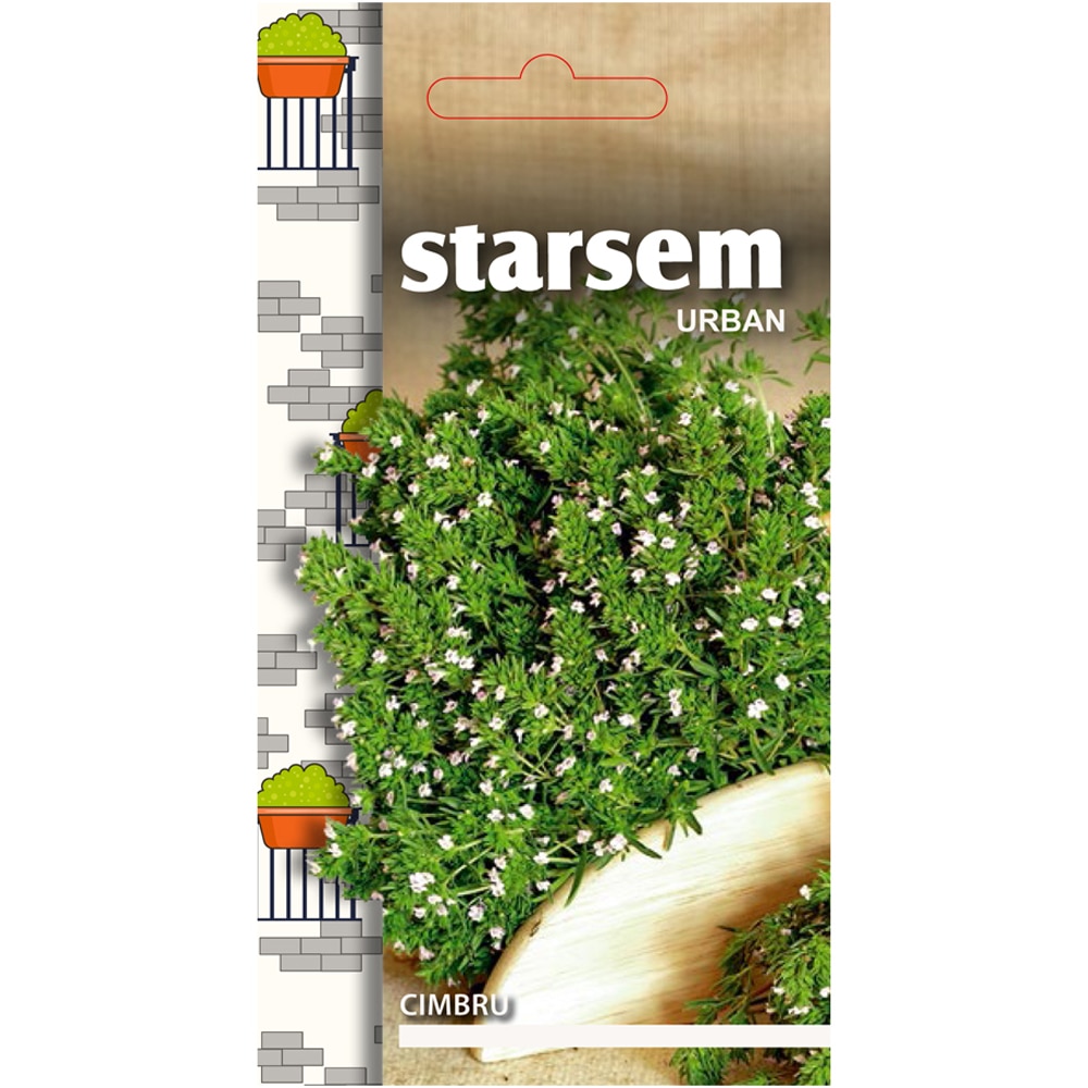 Seminte de legume Cimbru STARSEM, 1 plic