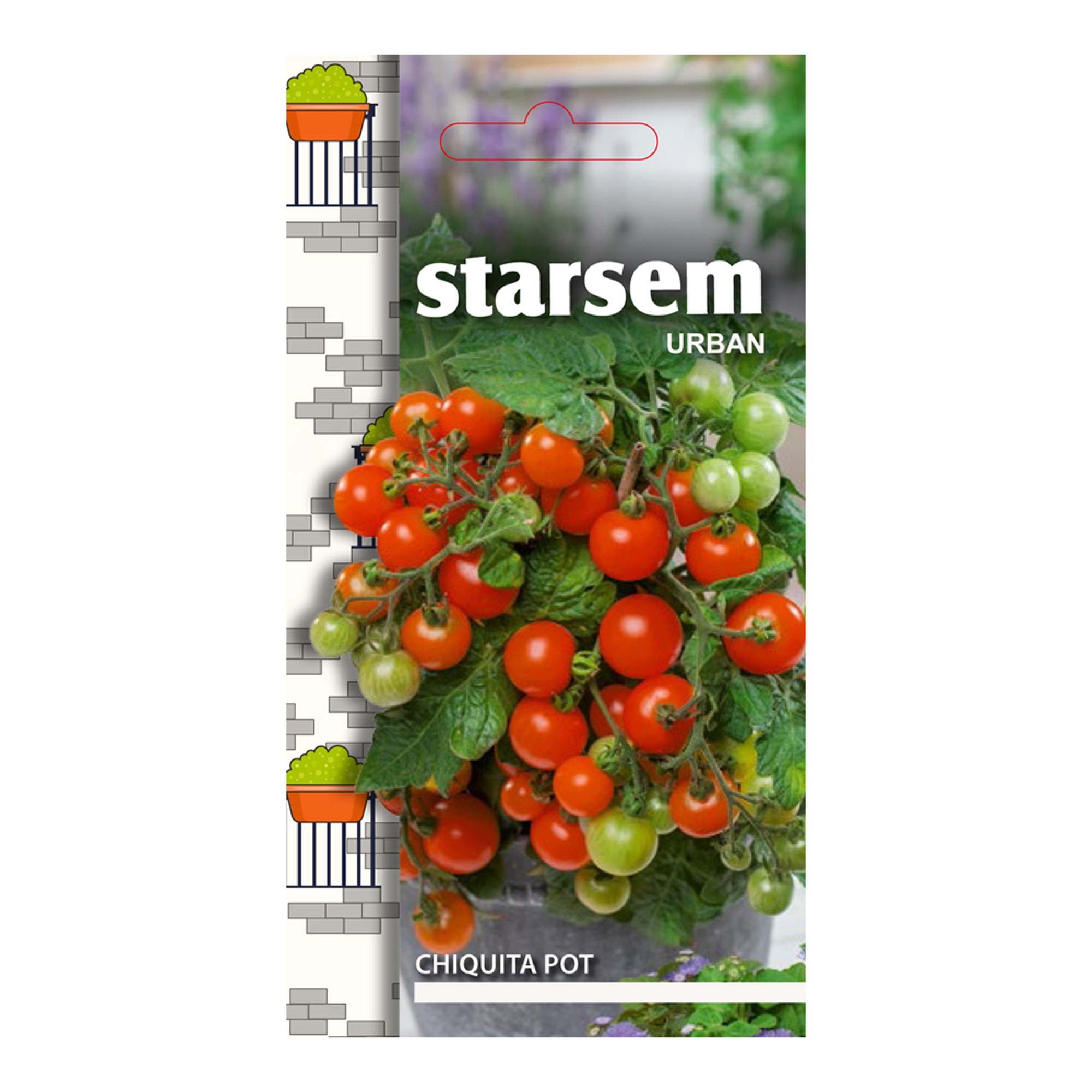 Tomate chiquita pot  Starsem