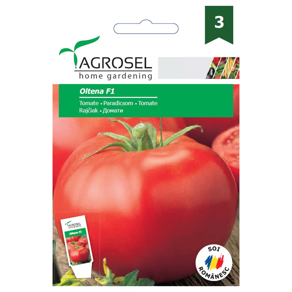 Tomate Oltena F1  Agrosel