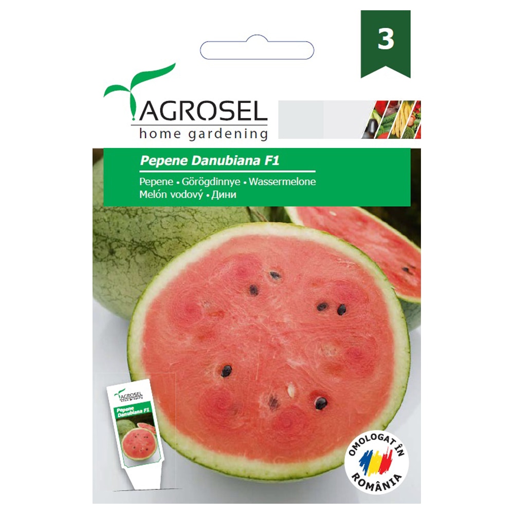 Pepene Verde Danubiana F1