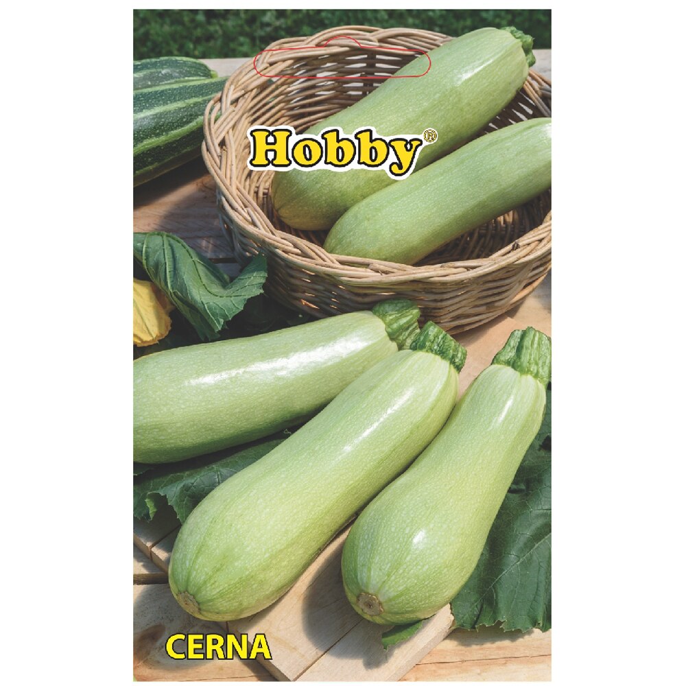 Seminte de legume Dovlecel Cerna, 1 plic