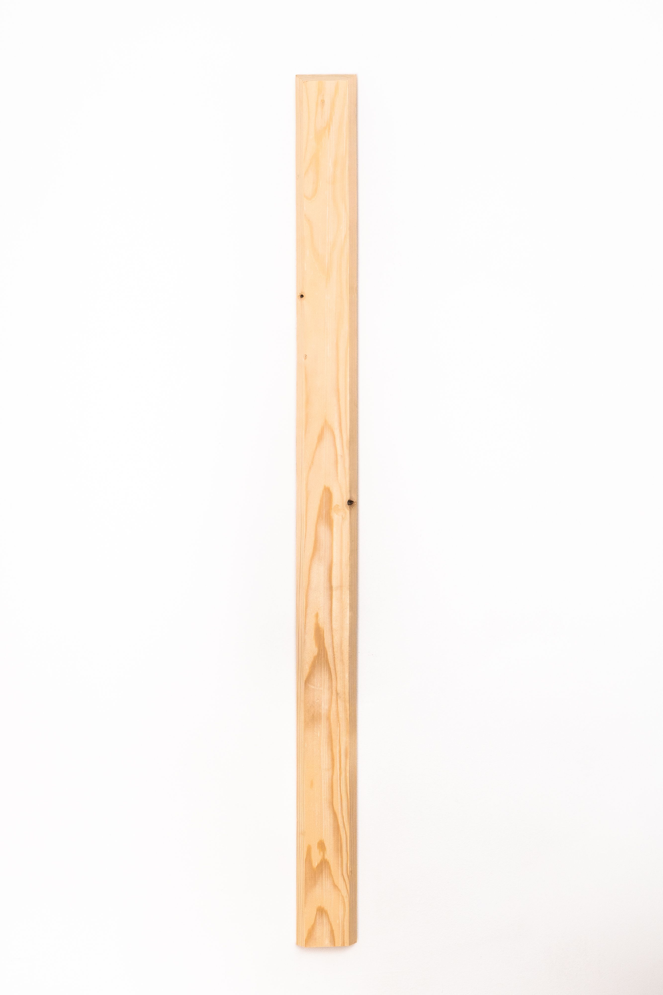 Elemente din sipca de lemn ptr gard, 980X90X18 mm  Tomi 4