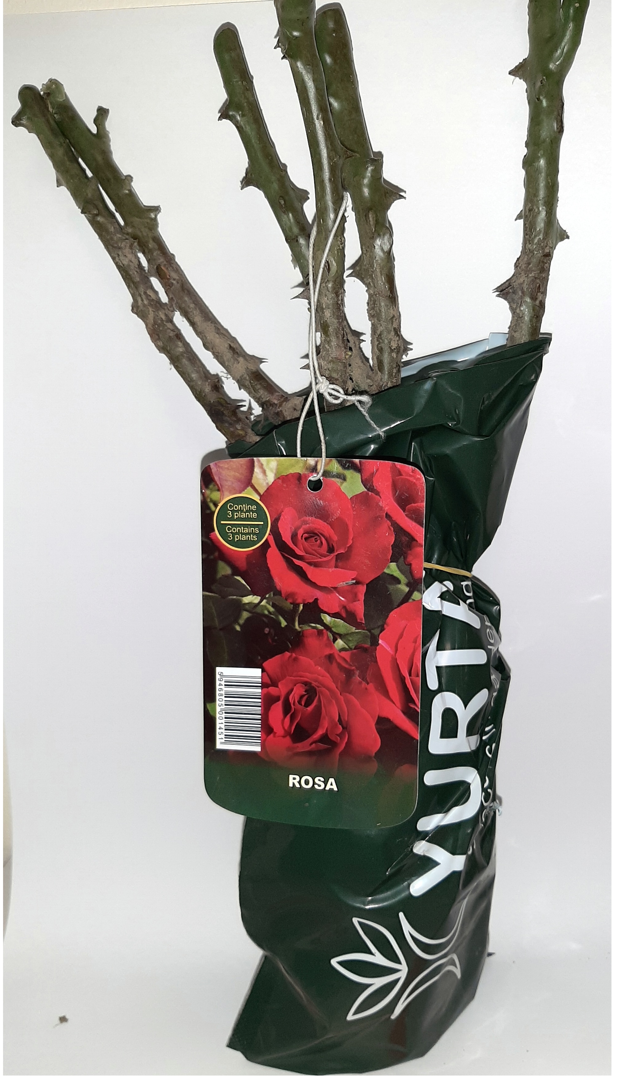 Trandafiri 3 Buc