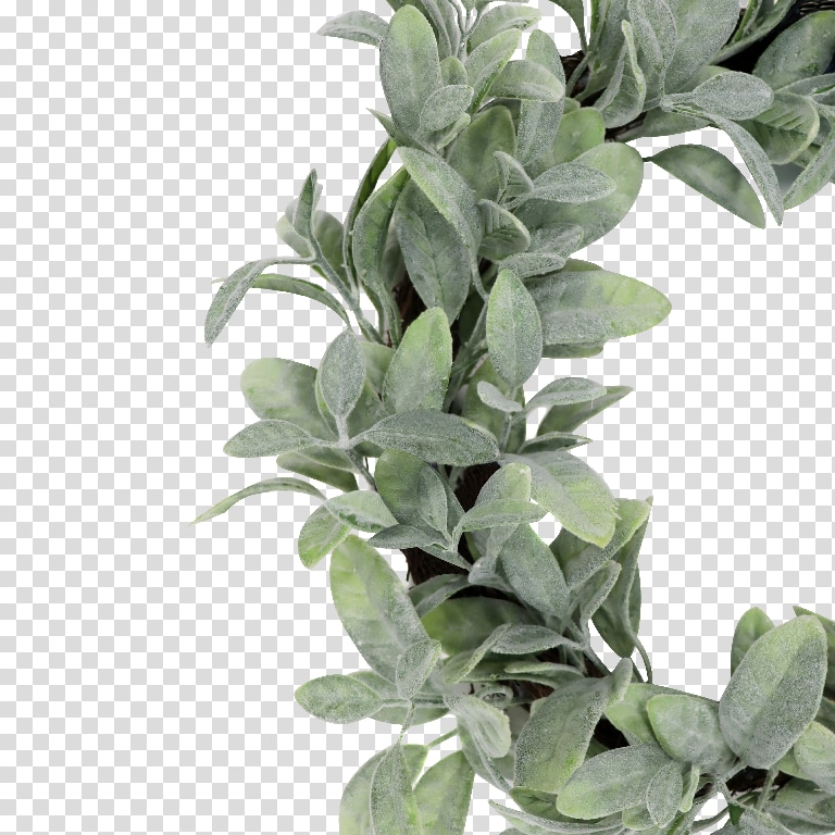 Coronita de Craciun pentru usa Frunzi si afine, 50 cm, verde