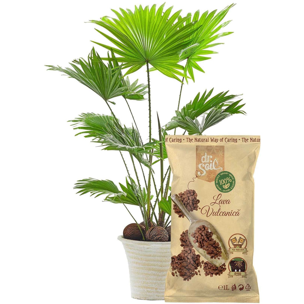 Lava vulcanica Dr. Soil, ameliorator sol, pietricele, pentru plante ornamentale, flori, legume, arbusti fructiferi, 1 l