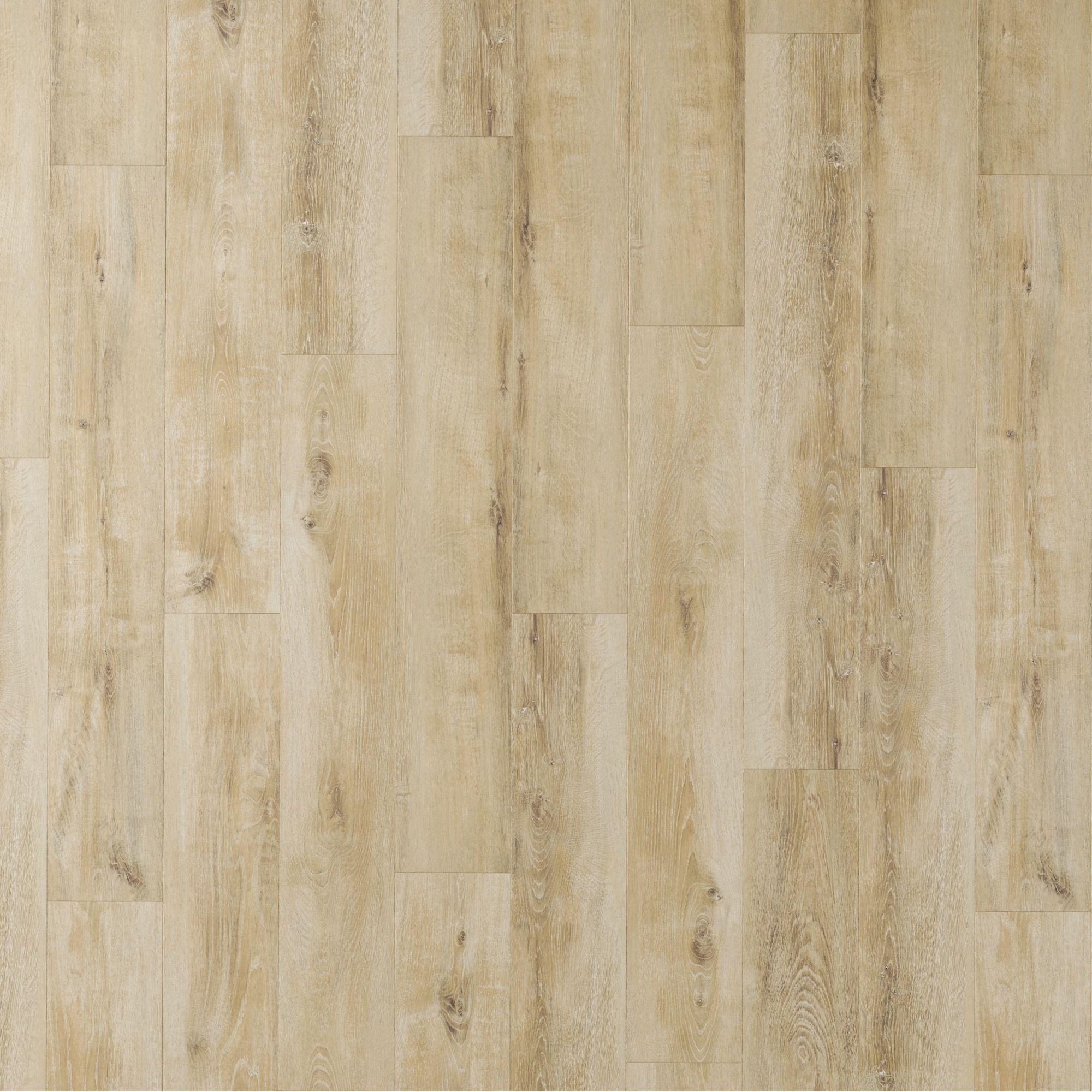 Parchet laminat, stejar deschis, 8 mm, AC3, 2.292 mp/cutie, Bella Neo Gardenia