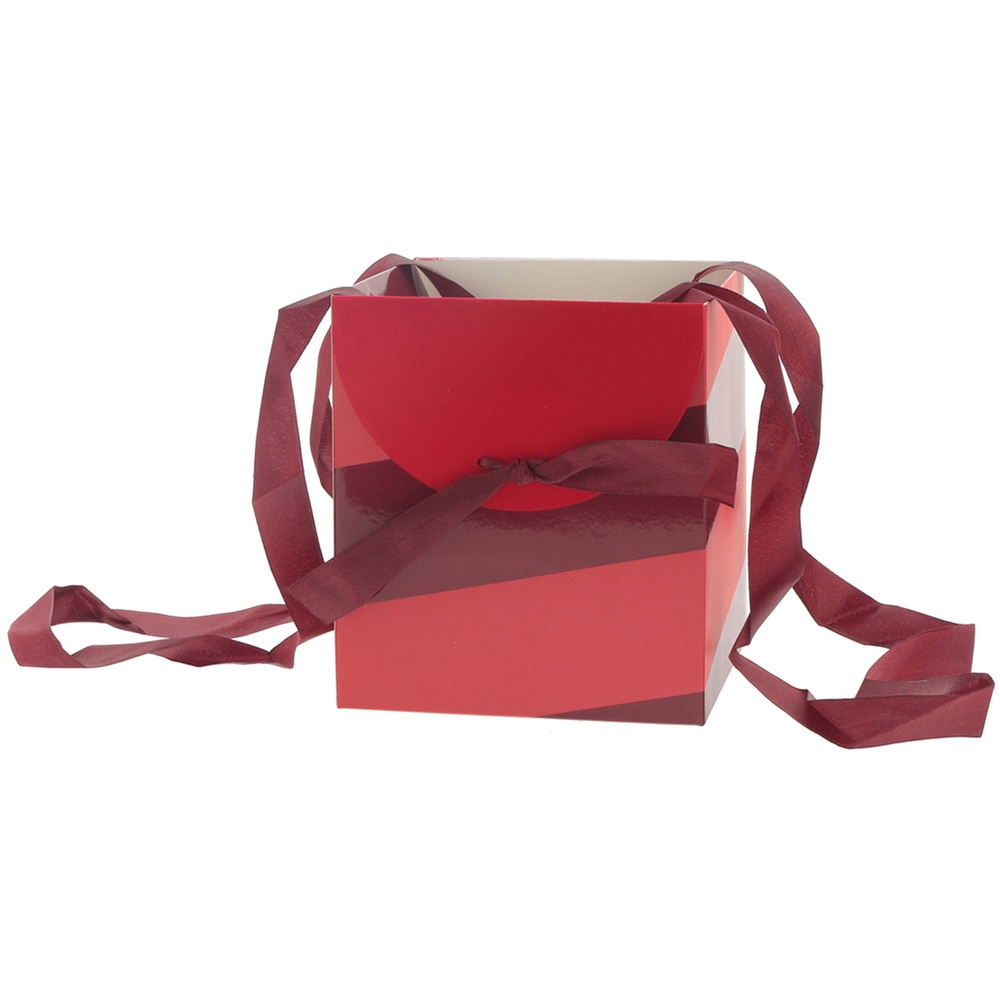 Punga pentru plante Muse Rosie, rosu