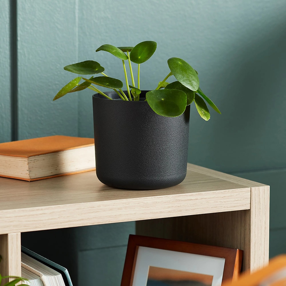 Ghiveci flori VERVE, plastic, D 13 cm, negru