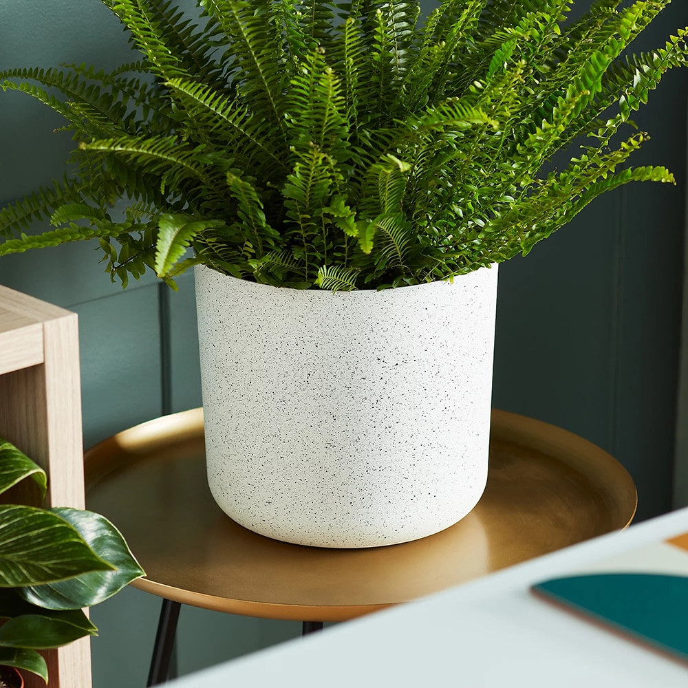 Ghiveci flori VERVE, plastic D 22 cm, alb